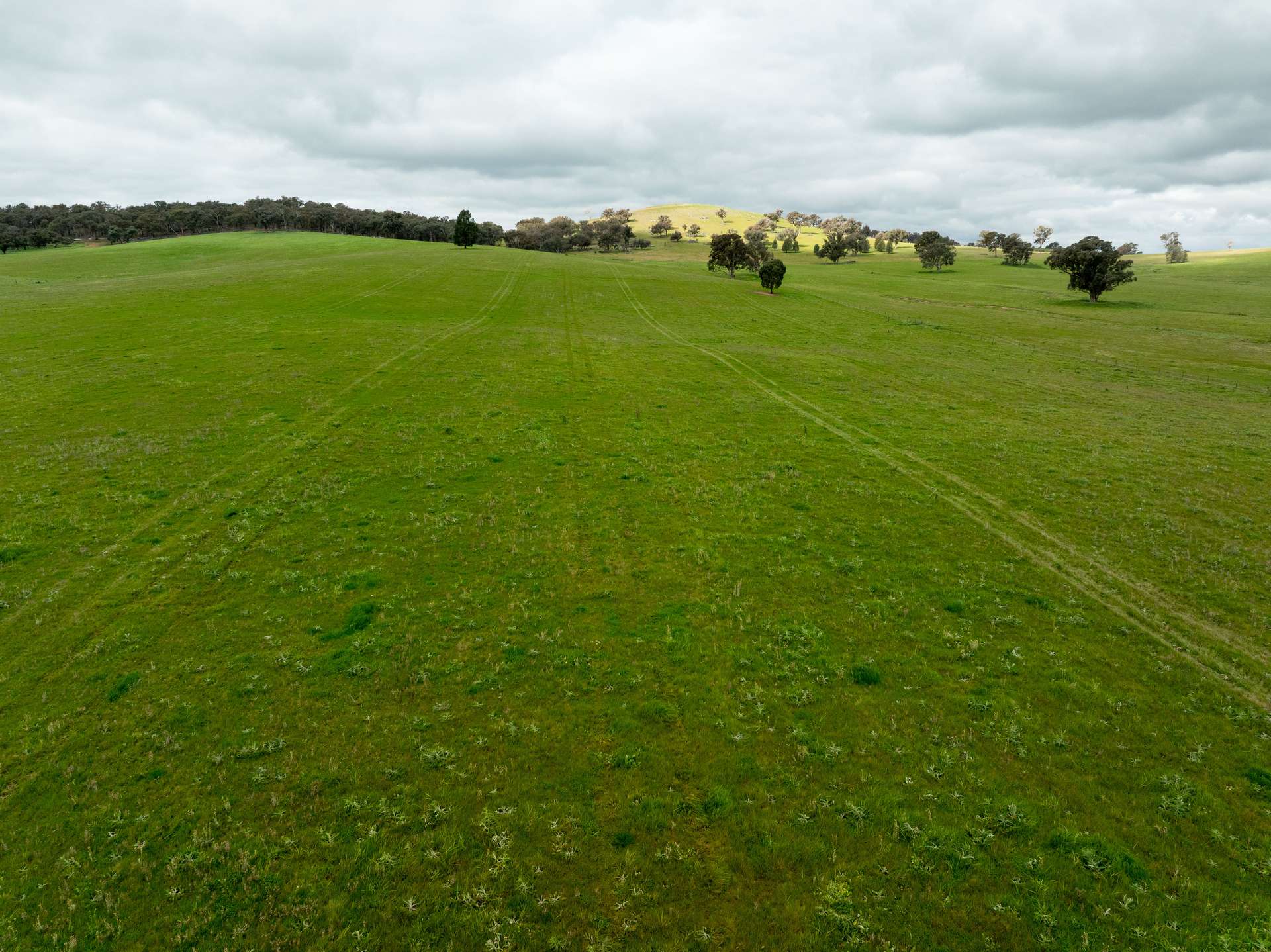 1285 Yerong Creek Mangoplah Road, Mangoplah For Sale by Farmbuy.com - image 12