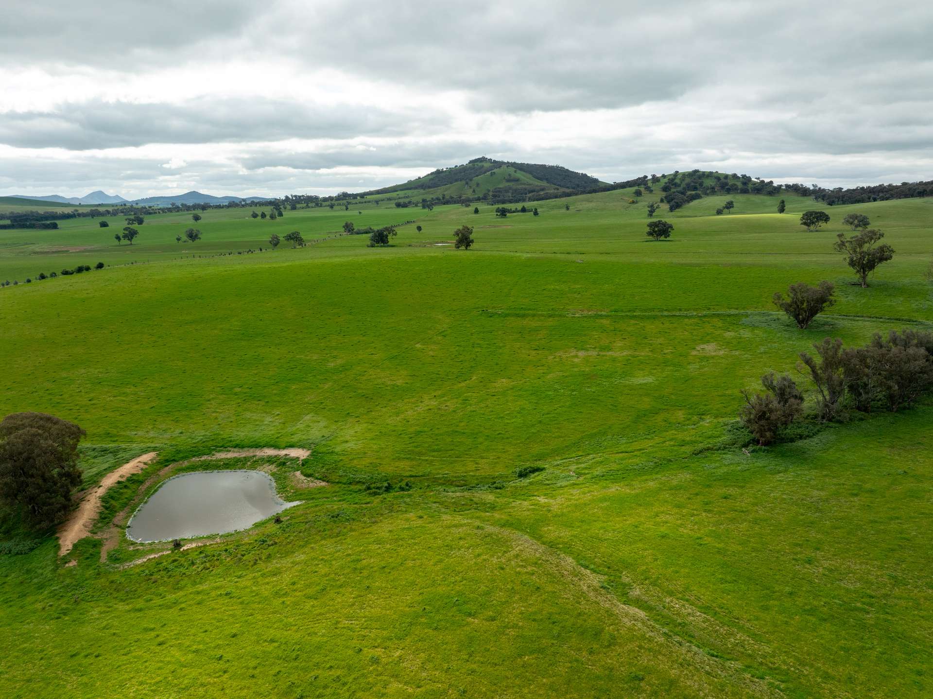 1285 Yerong Creek Mangoplah Road, Mangoplah For Sale by Farmbuy.com - image 9