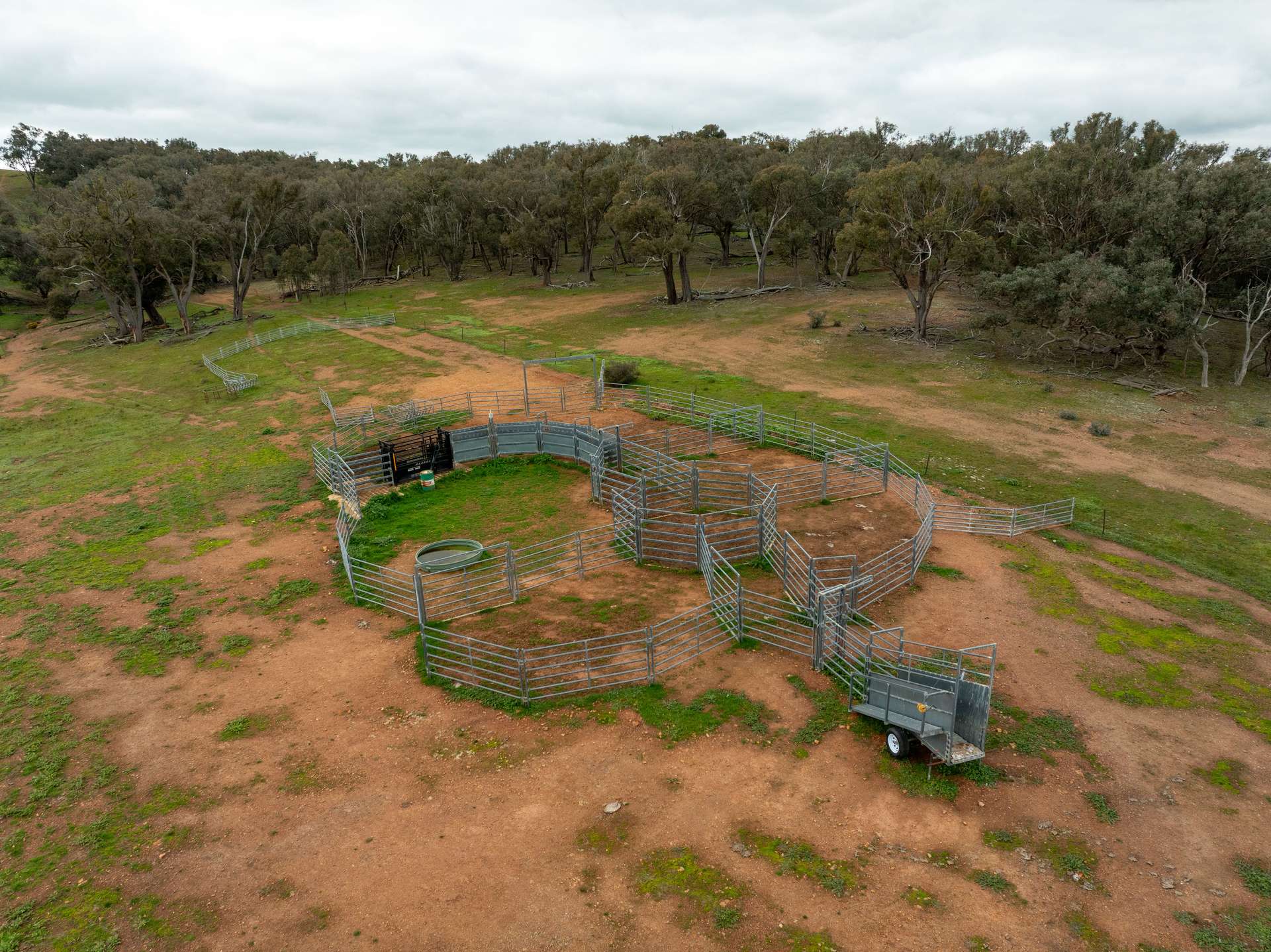 1285 Yerong Creek Mangoplah Road, Mangoplah For Sale by Farmbuy.com - image 8