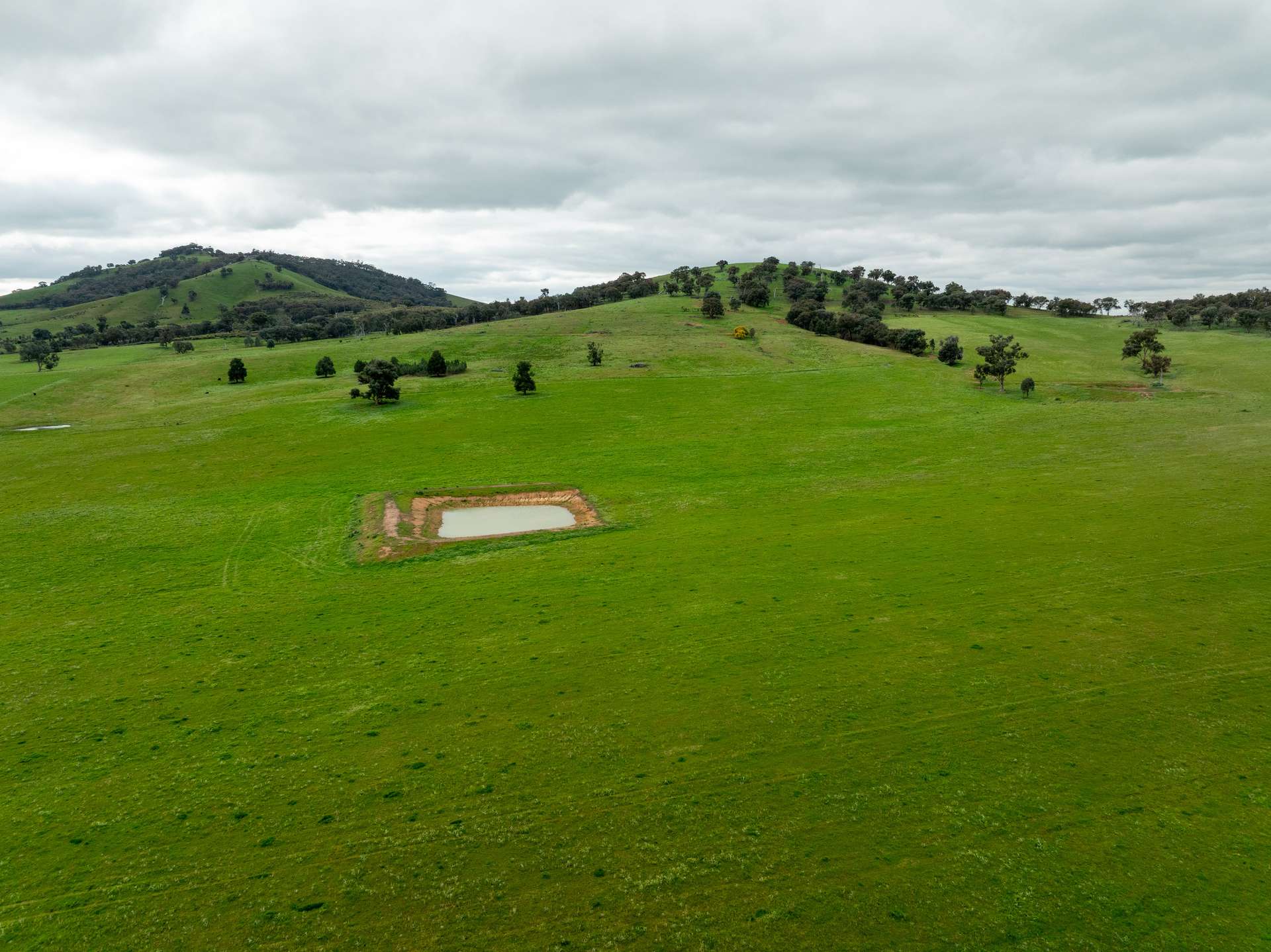 1285 Yerong Creek Mangoplah Road, Mangoplah For Sale by Farmbuy.com - image 24