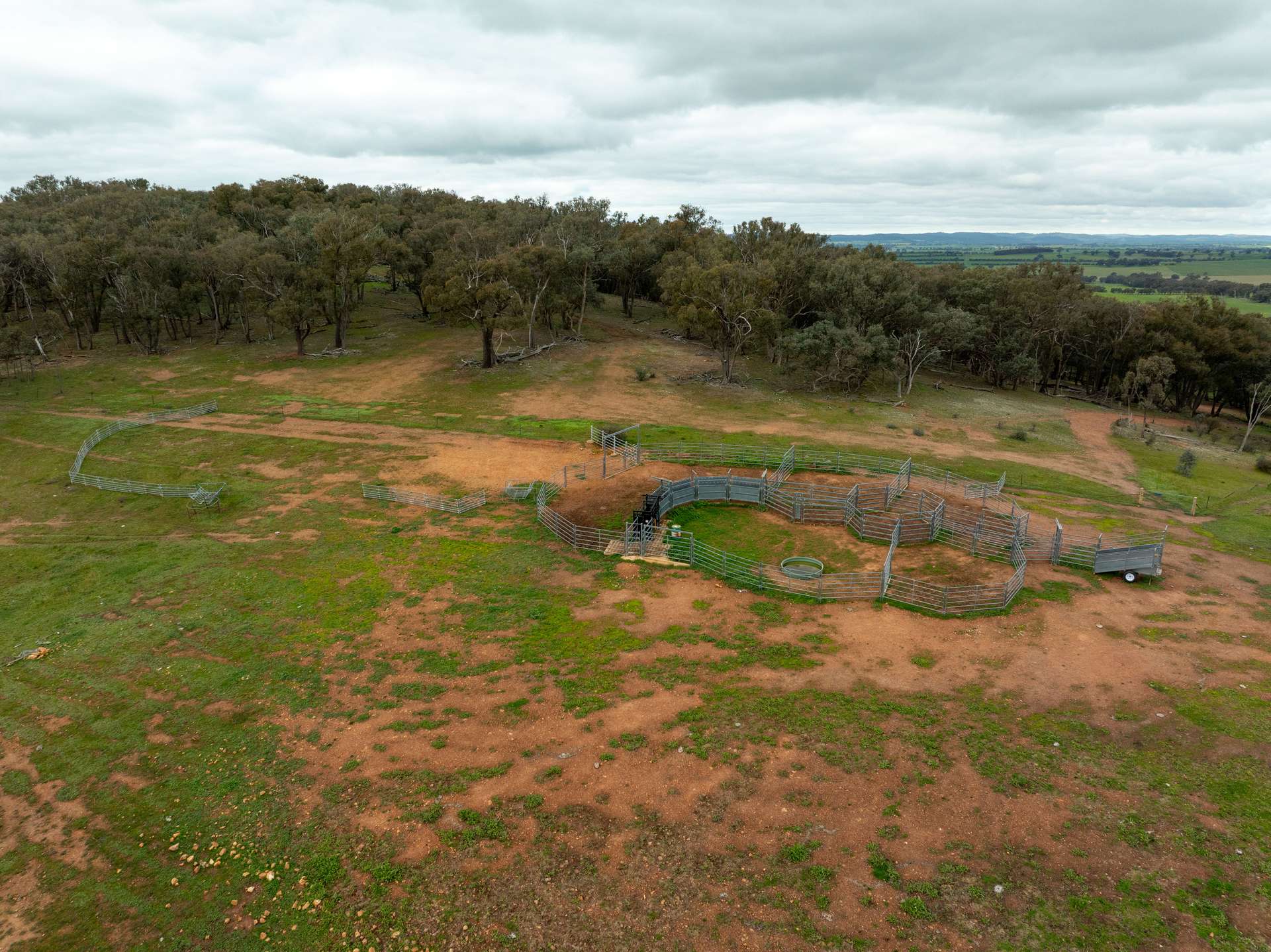 1285 Yerong Creek Mangoplah Road, Mangoplah For Sale by Farmbuy.com - image 20