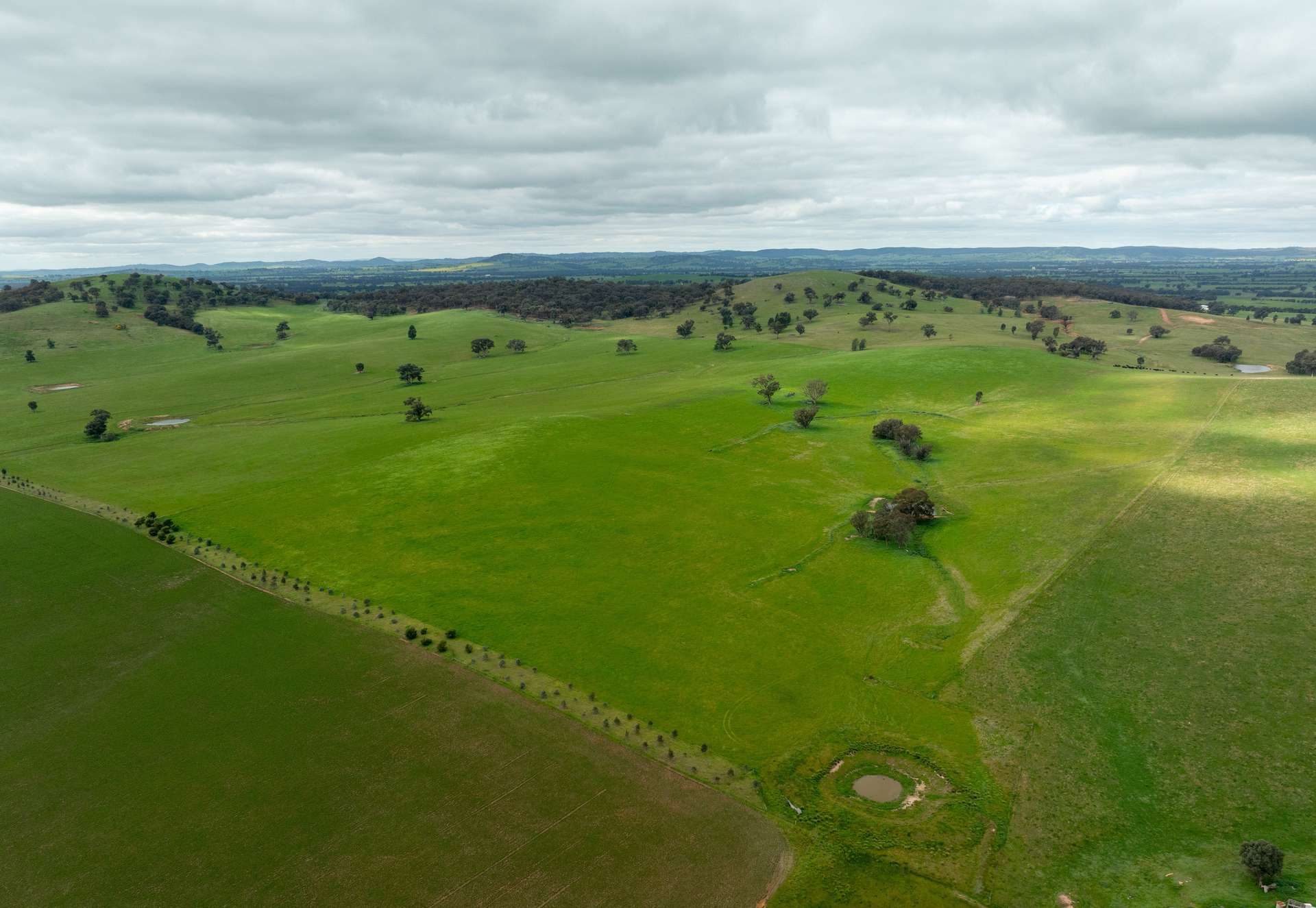 1285 Yerong Creek Mangoplah Road, Mangoplah For Sale by Farmbuy.com - image 15