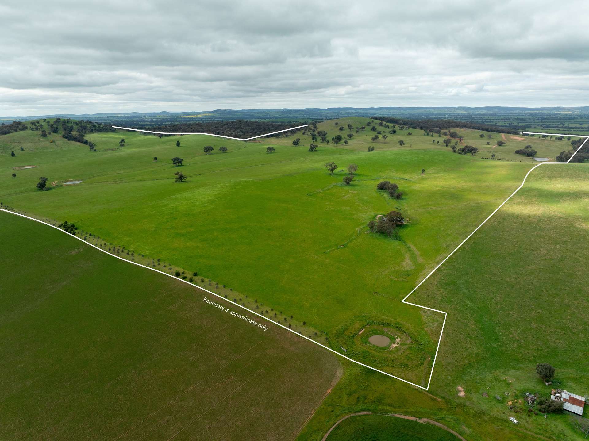 1285 Yerong Creek Mangoplah Road, Mangoplah For Sale by Farmbuy.com - image 2