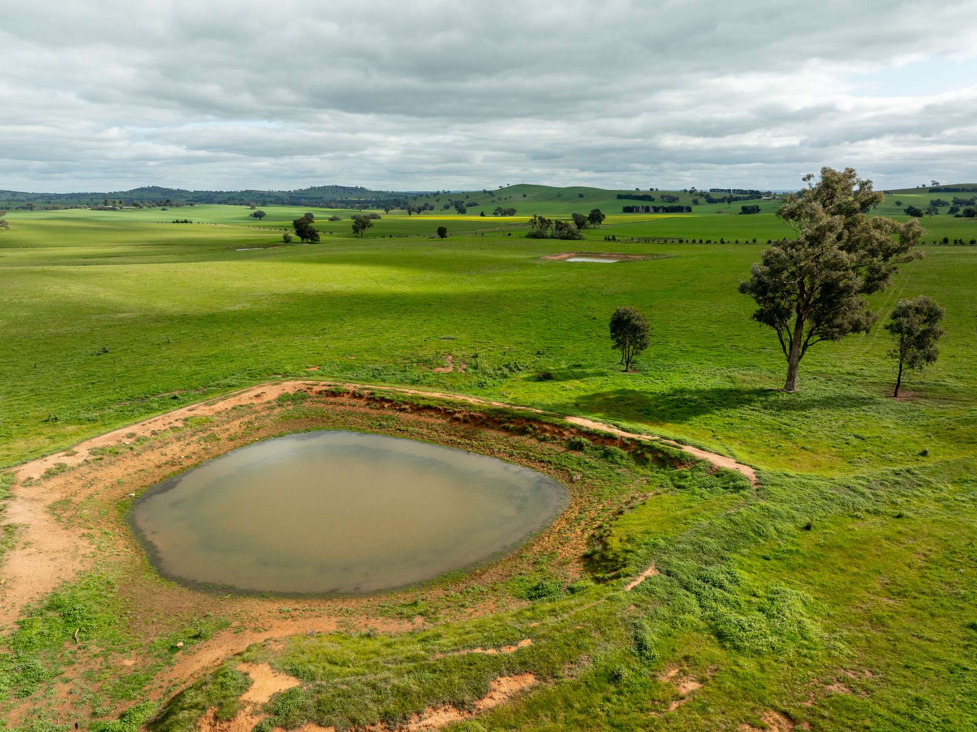 1285 Yerong Creek Mangoplah Road, Mangoplah For Sale by Farmbuy.com - image 18