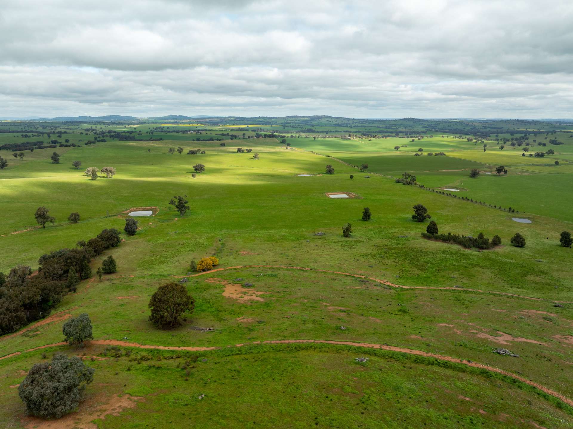 1285 Yerong Creek Mangoplah Road, Mangoplah For Sale by Farmbuy.com - image 16