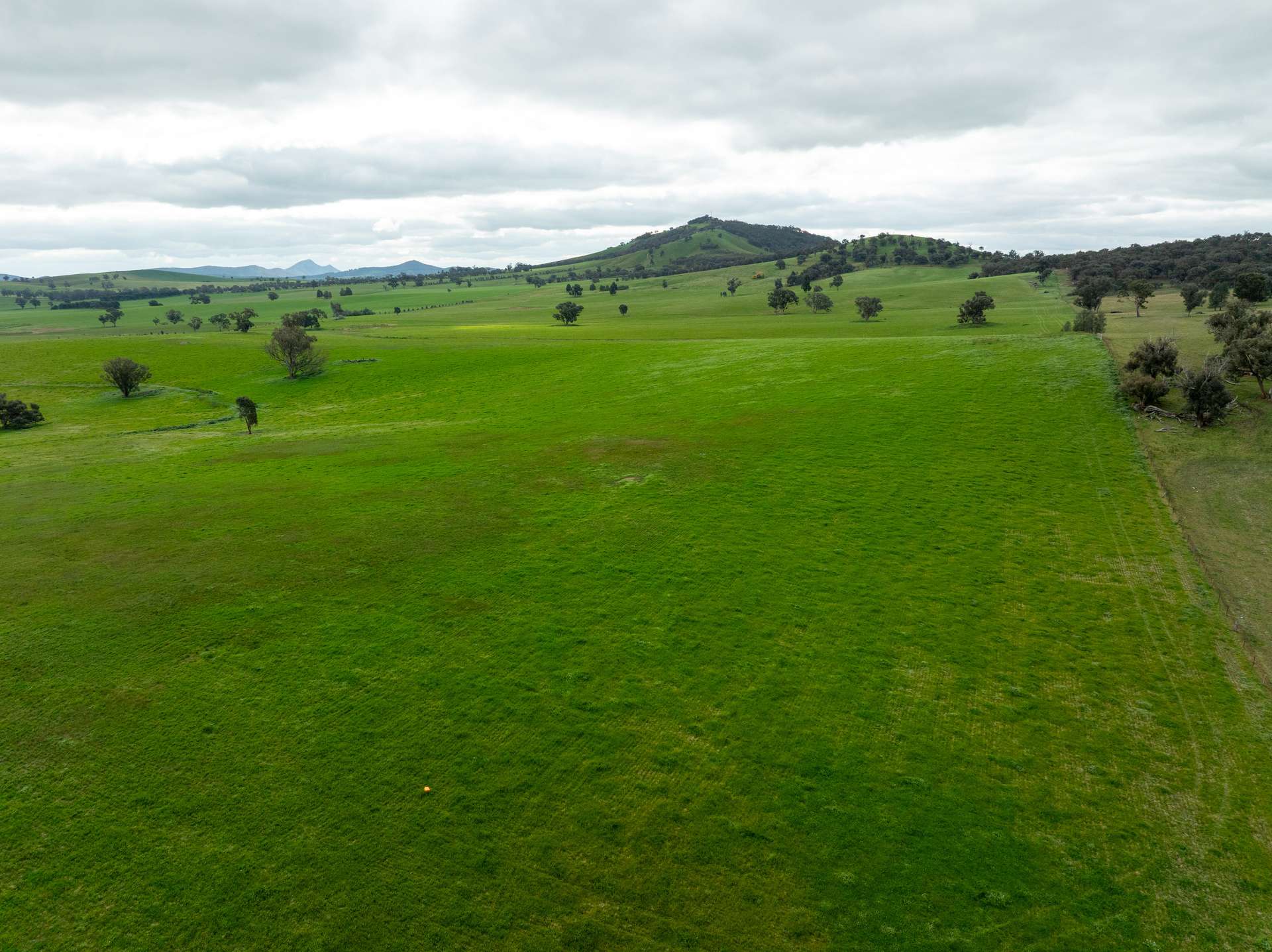 1285 Yerong Creek Mangoplah Road, Mangoplah For Sale by Farmbuy.com - image 6