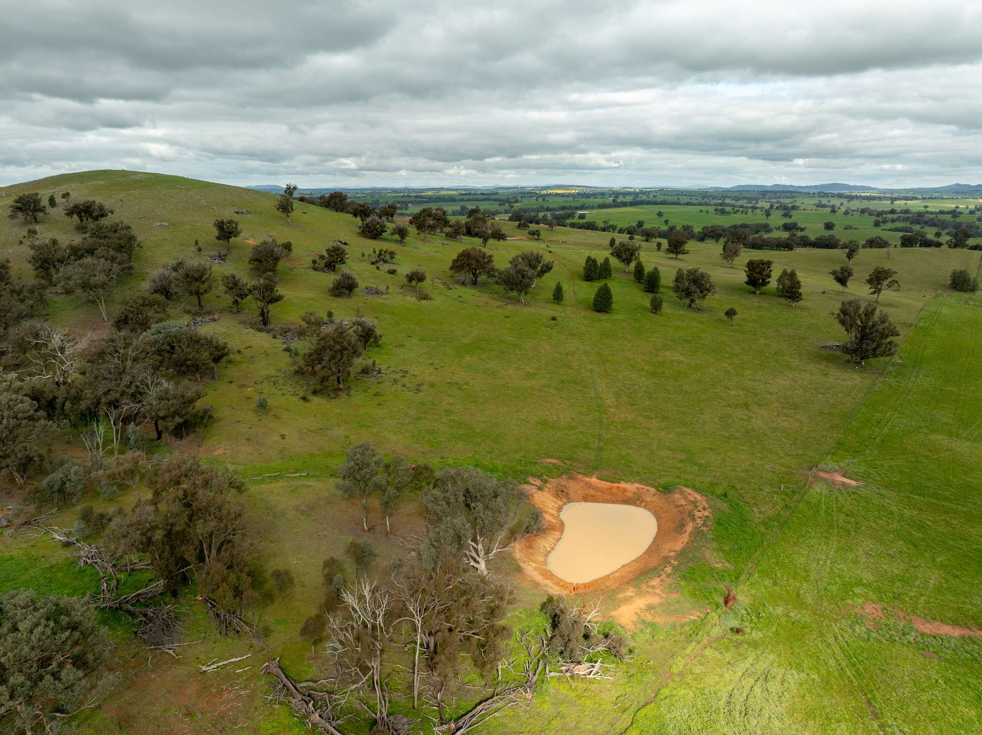 1285 Yerong Creek Mangoplah Road, Mangoplah For Sale by Farmbuy.com - image 19