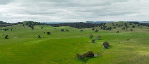 Farm For Sale - NSW - Mangoplah - 2652 - Mixed Farming - Mangoplah - Yerong Creek 