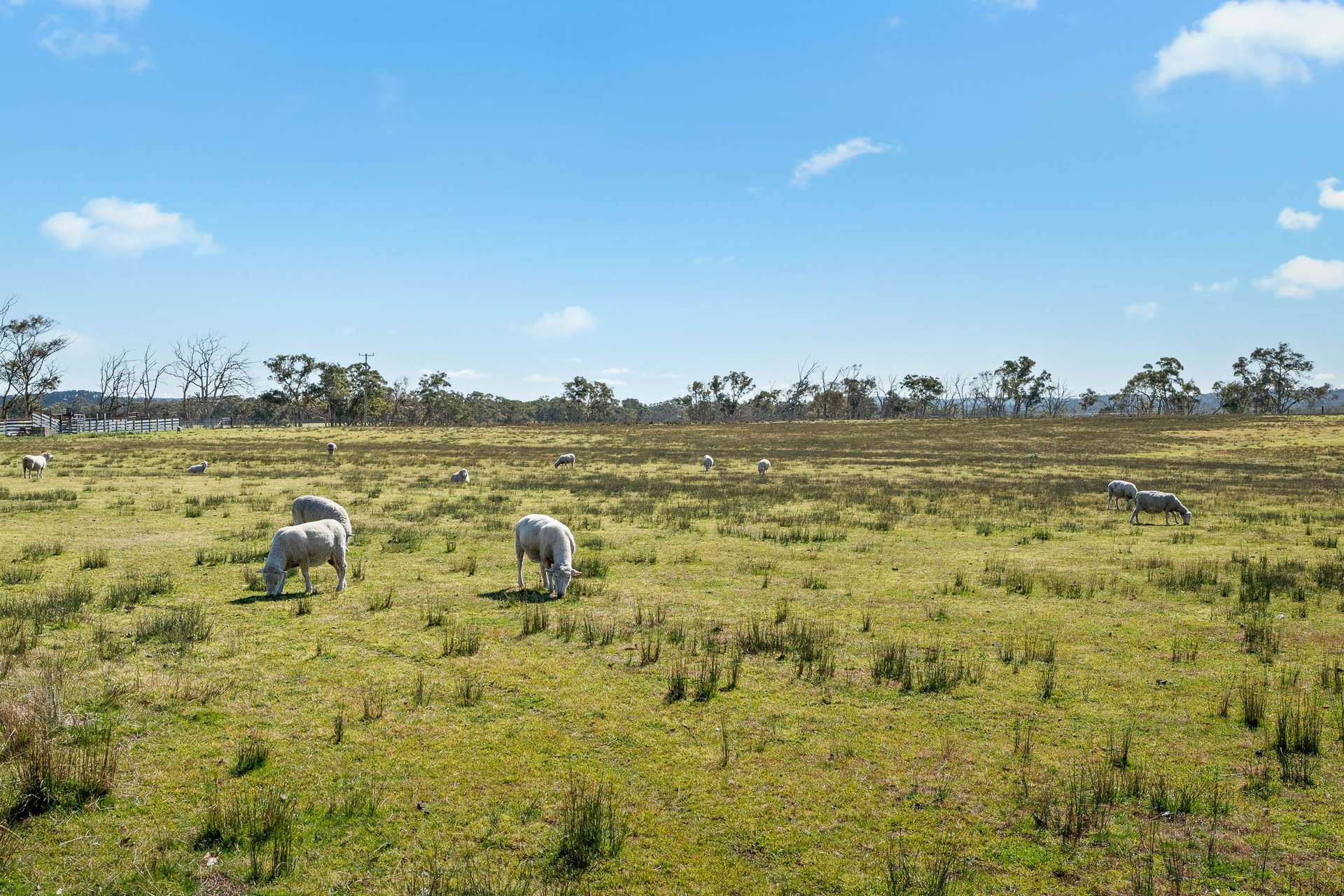 136 Tangryang Road, Marulan Auction by Farmbuy.com - image 19