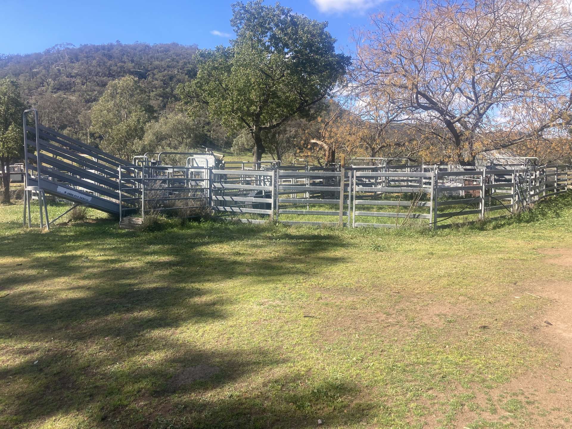 1950 FLAGGS ROAD, Gungal For Sale by Farmbuy.com - image 6
