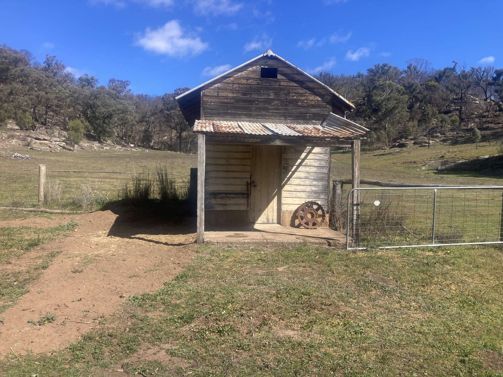 1950 FLAGGS ROAD, Gungal For Sale by Farmbuy.com - image 5