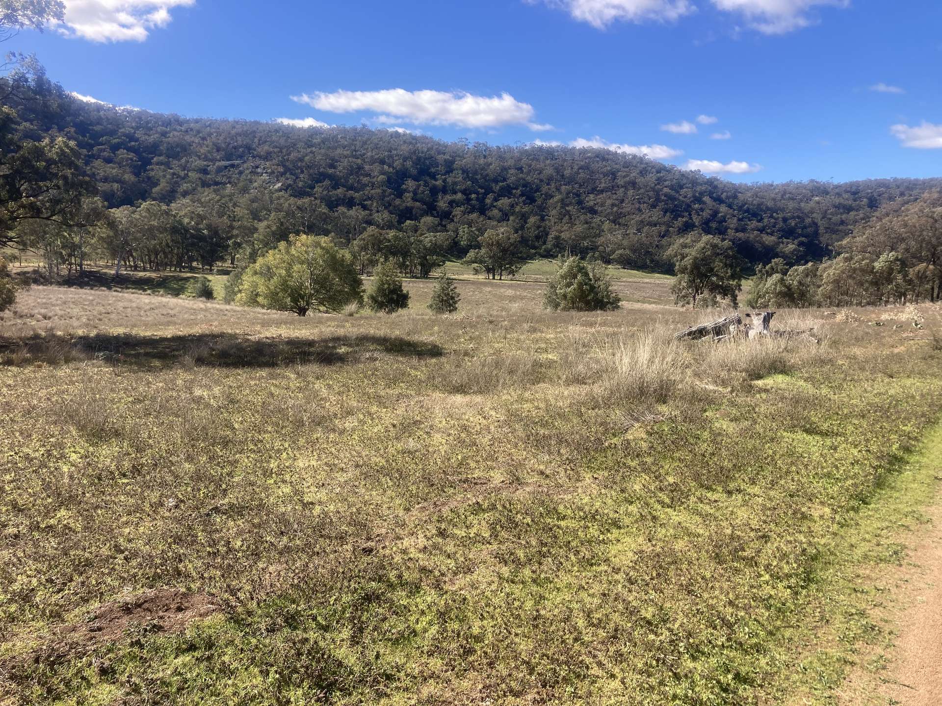 1950 FLAGGS ROAD, Gungal For Sale by Farmbuy.com - image 15
