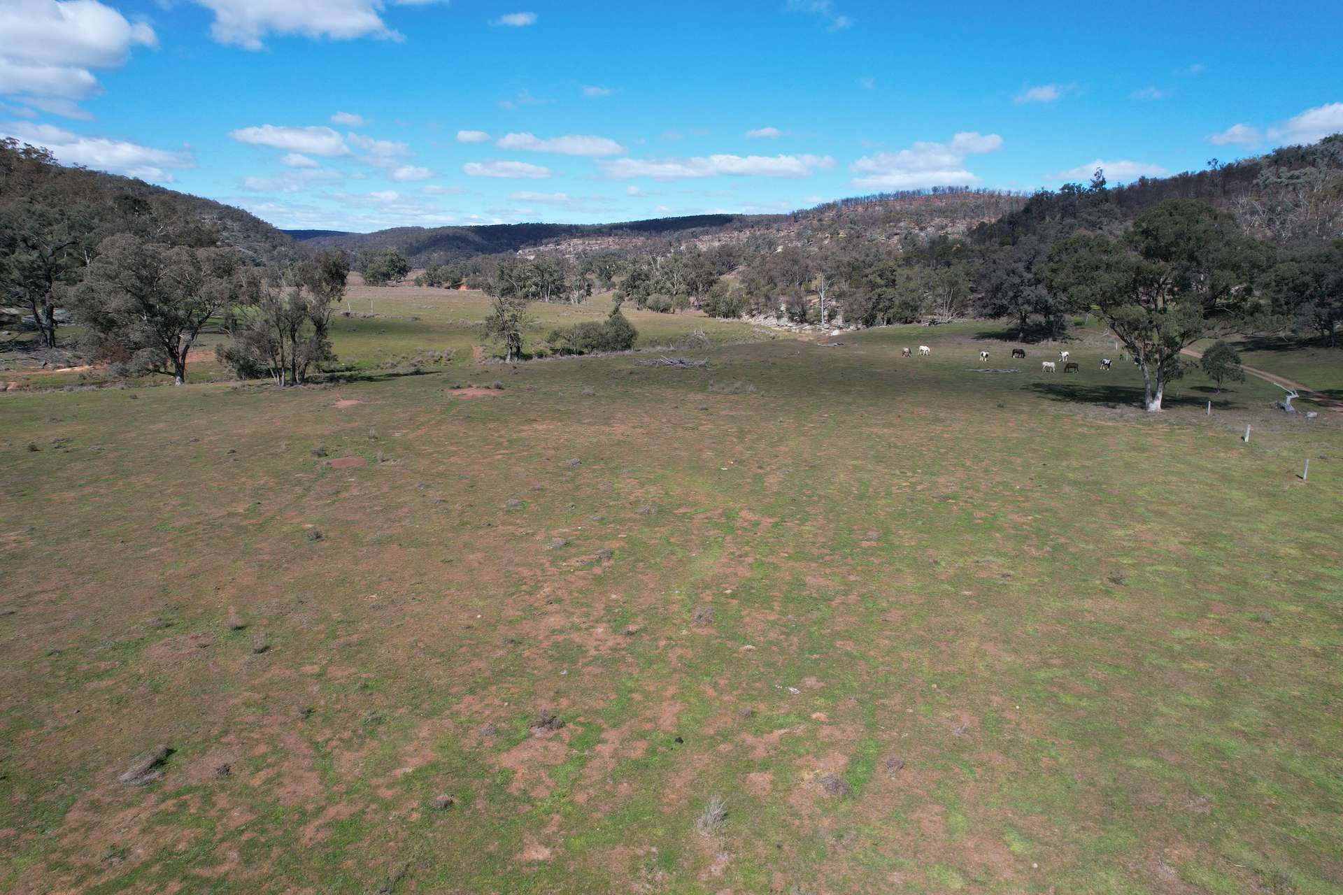 1950 FLAGGS ROAD, Gungal For Sale by Farmbuy.com - image 20
