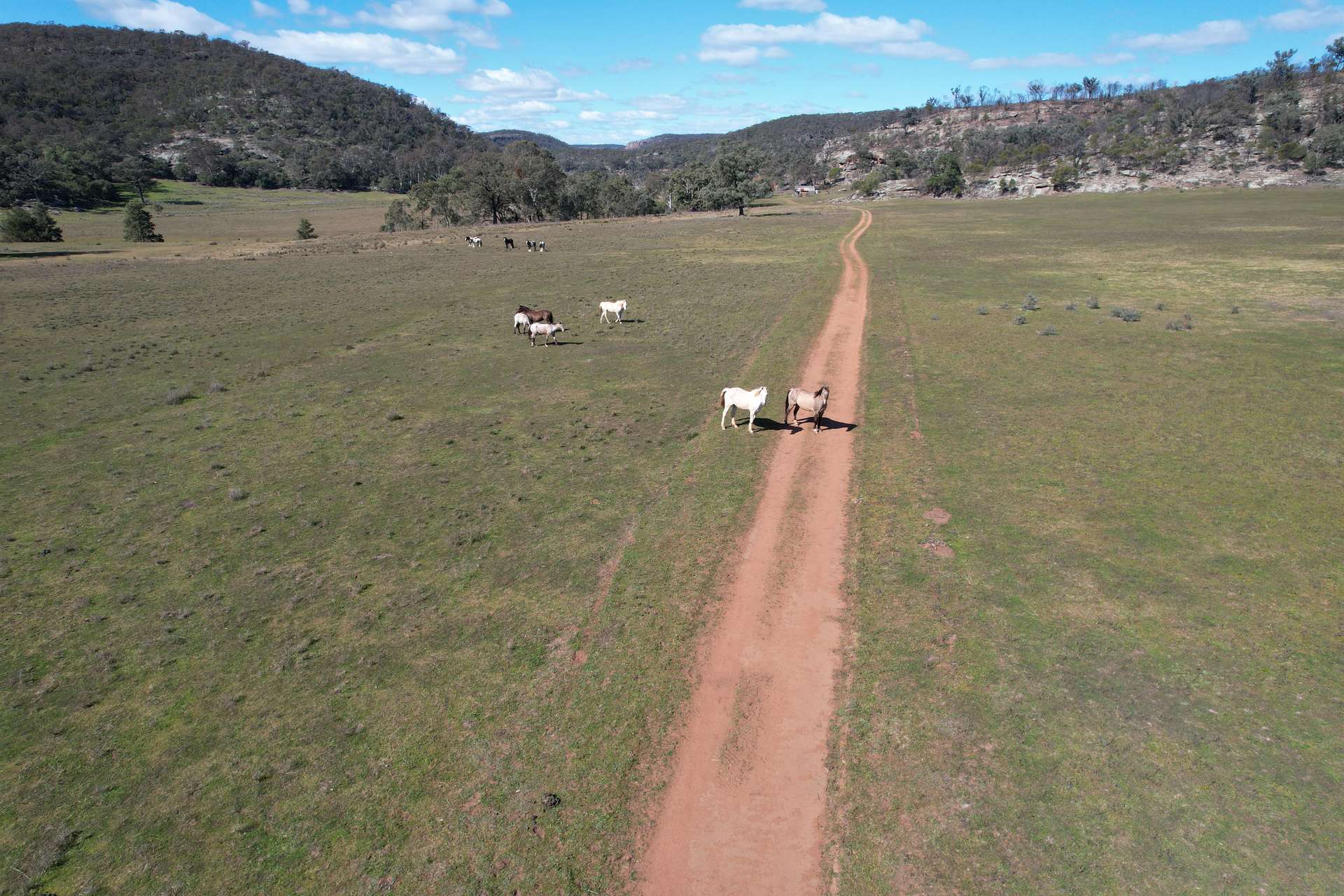 1950 FLAGGS ROAD, Gungal For Sale by Farmbuy.com - image 21