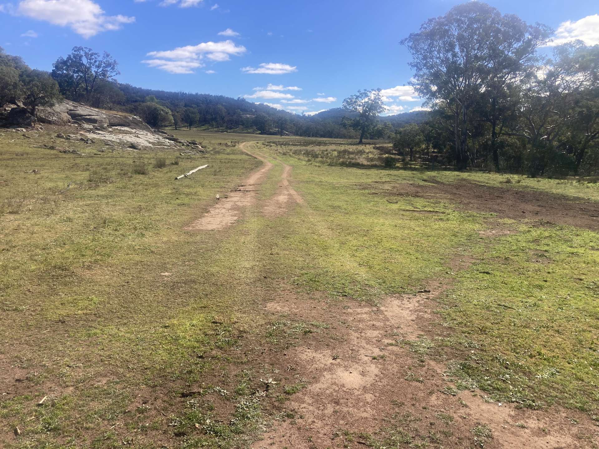 1950 FLAGGS ROAD, Gungal For Sale by Farmbuy.com - image 11