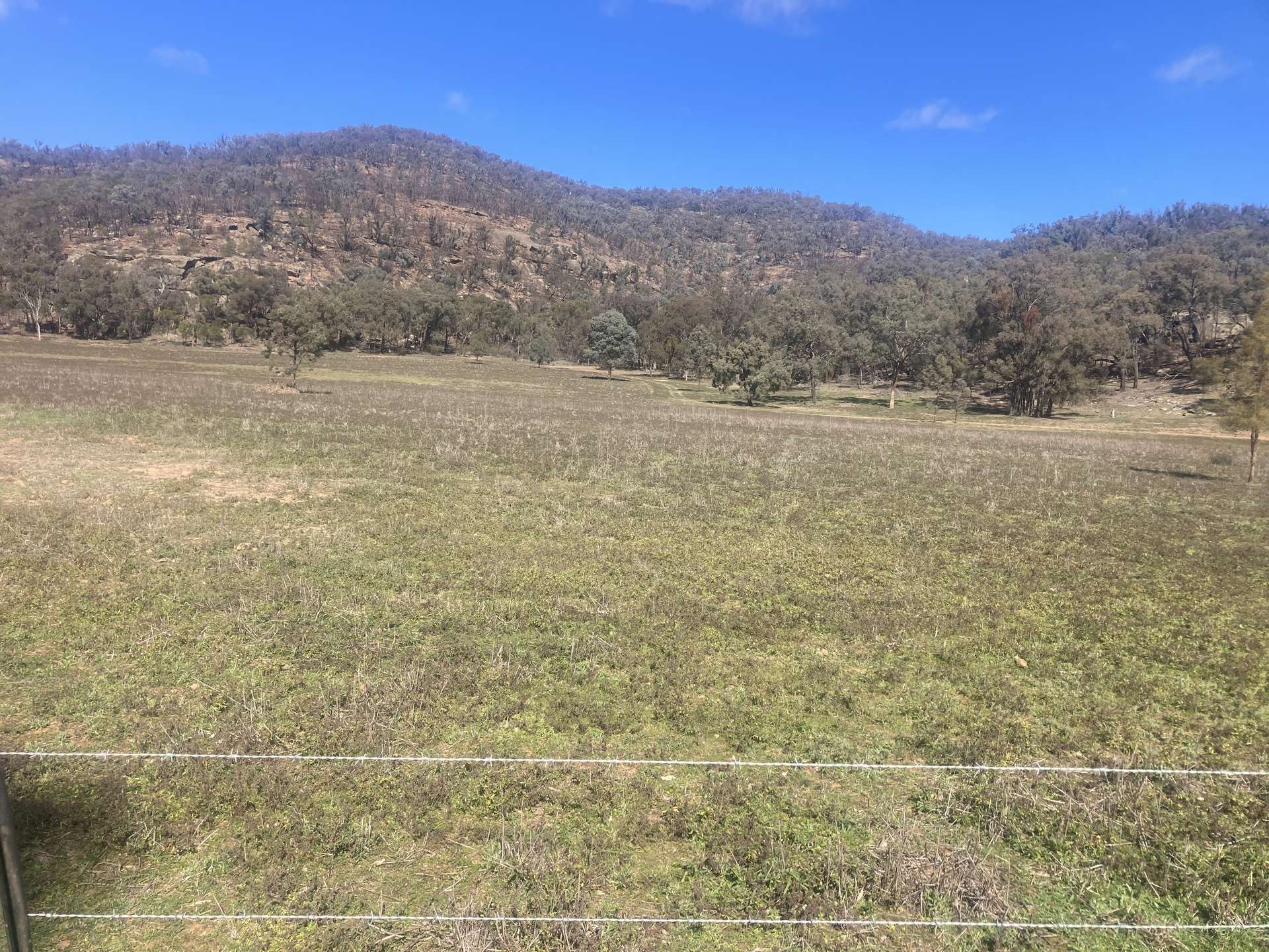 1950 FLAGGS ROAD, Gungal For Sale by Farmbuy.com - image 2