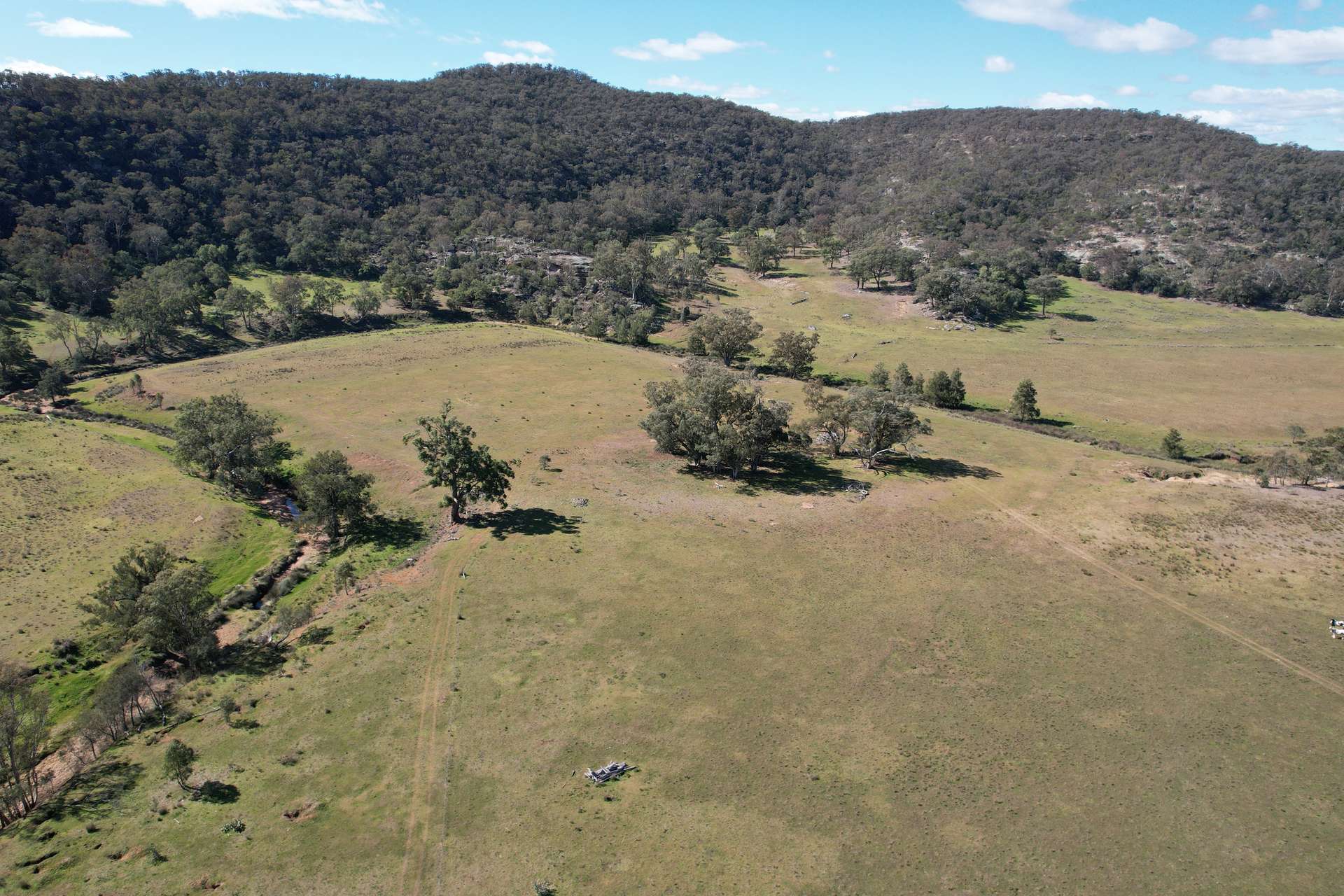 1950 FLAGGS ROAD, Gungal For Sale by Farmbuy.com - image 23