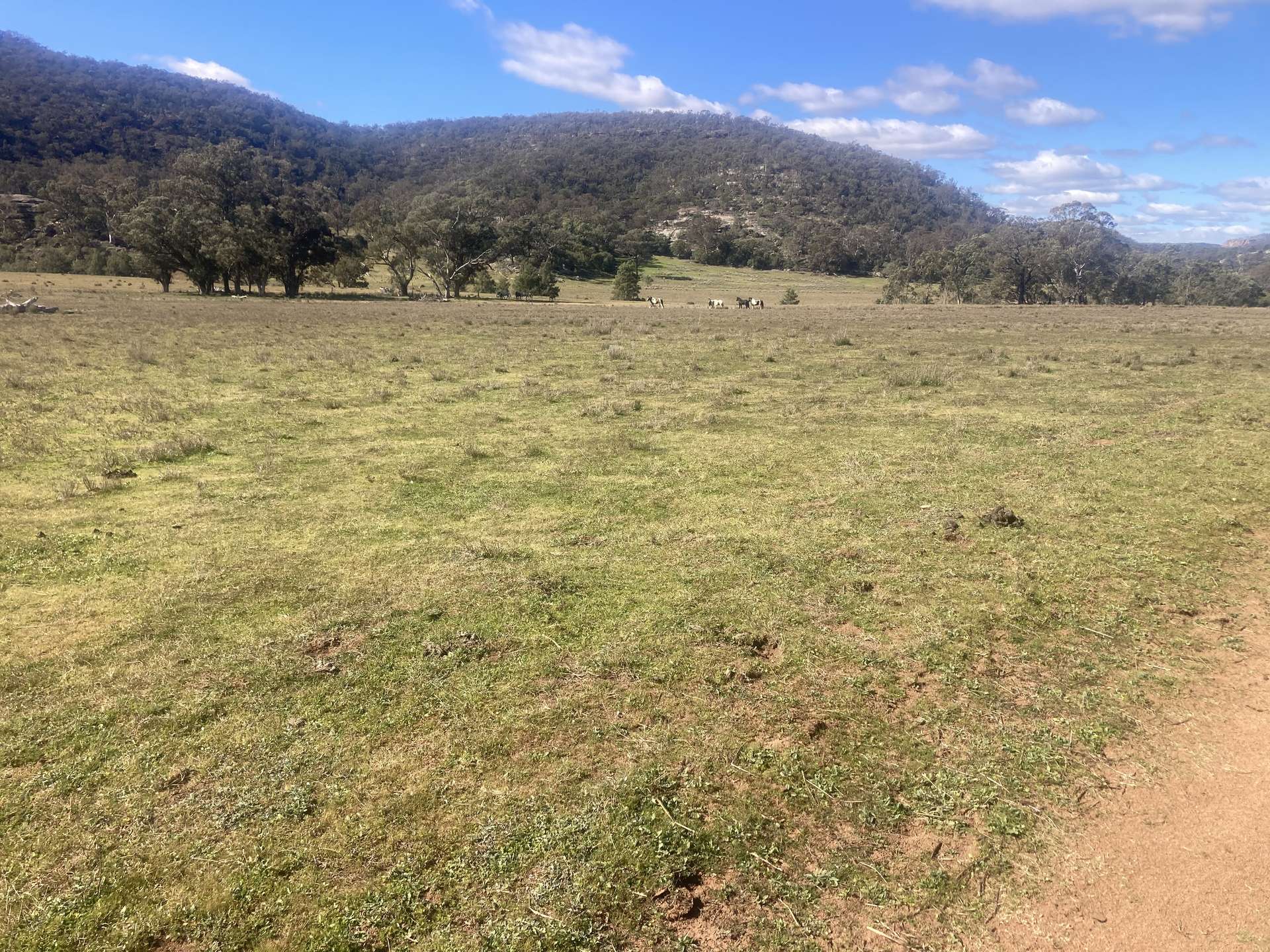 1950 FLAGGS ROAD, Gungal For Sale by Farmbuy.com - image 4