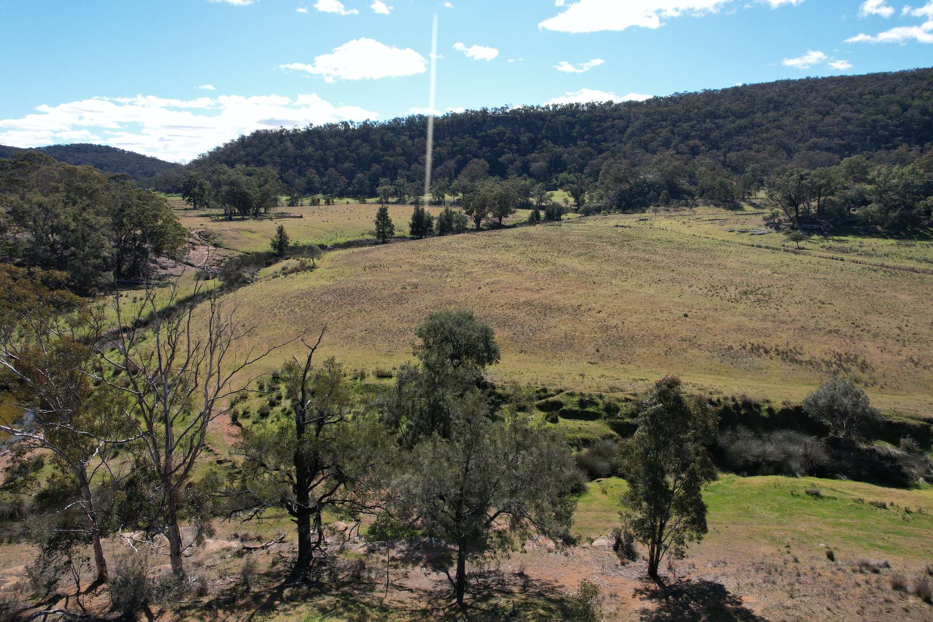 1950 FLAGGS ROAD, Gungal For Sale by Farmbuy.com - image 19