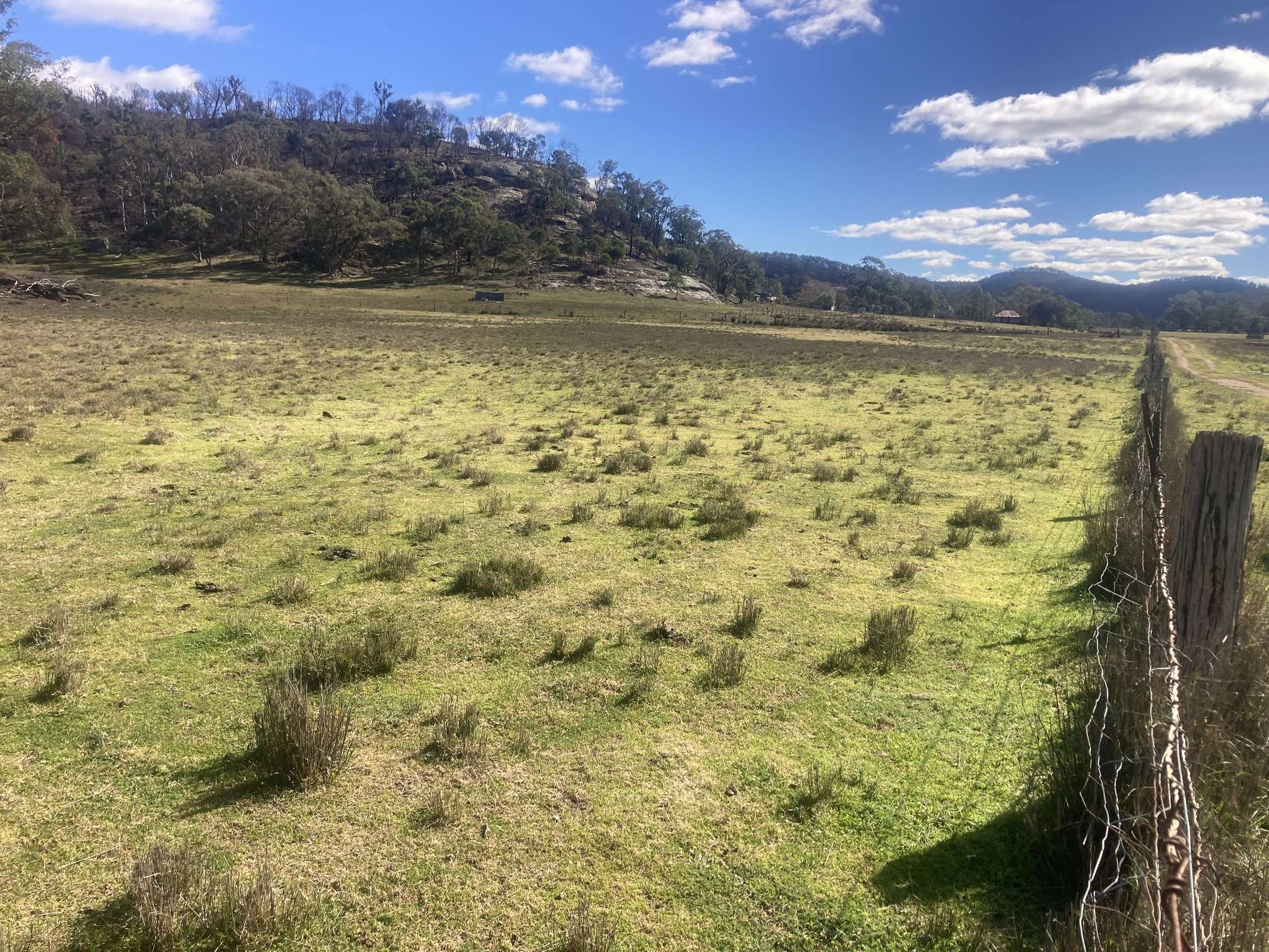 1950 FLAGGS ROAD, Gungal For Sale by Farmbuy.com - image 14