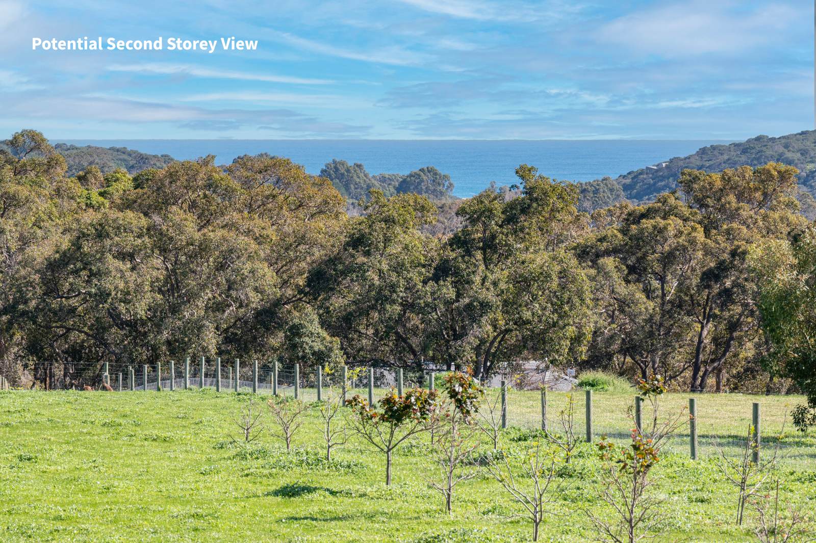 175 Dryandra Avenue, Yallingup For Sale by Farmbuy.com - image 3