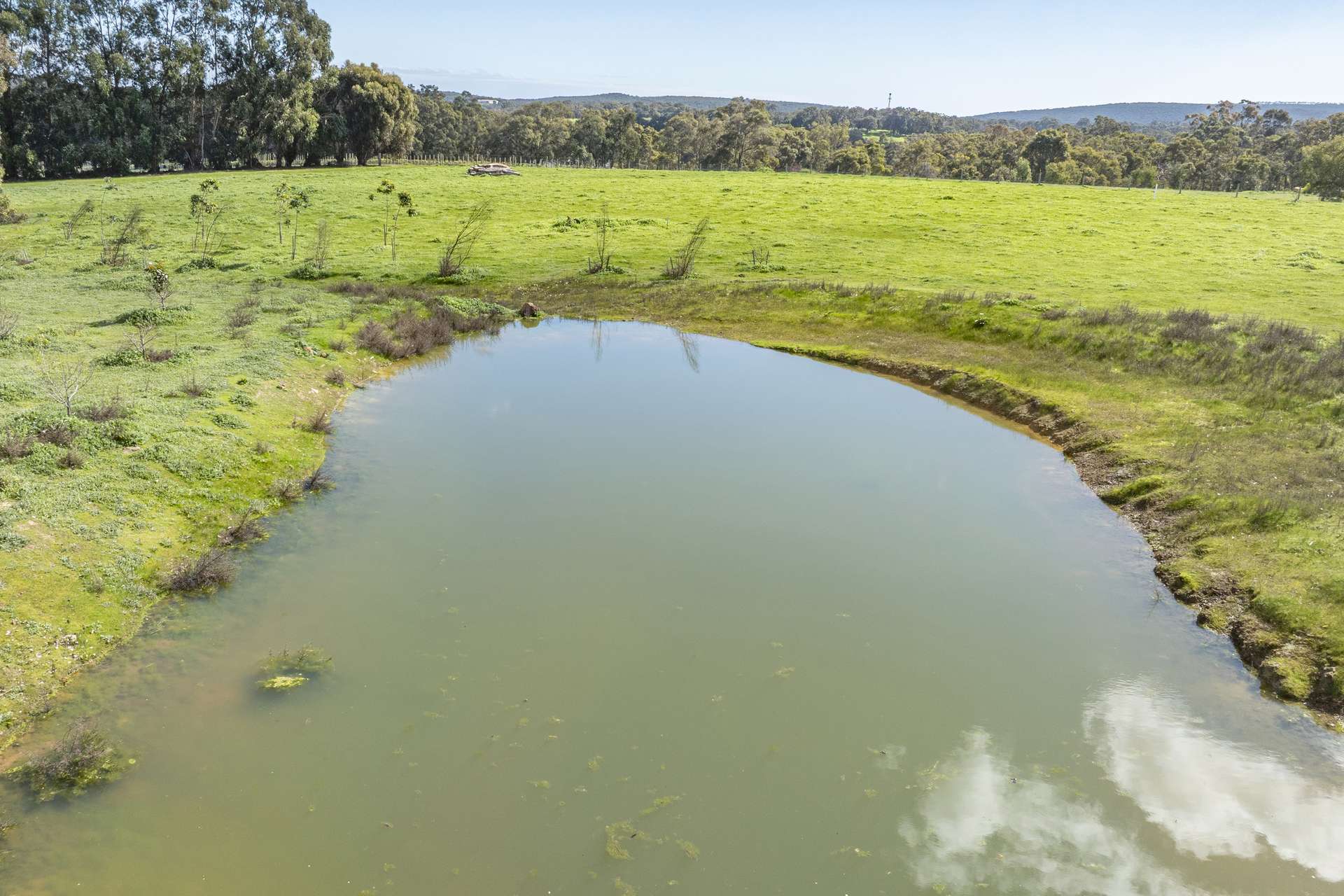 175 Dryandra Avenue, Yallingup For Sale by Farmbuy.com - image 12
