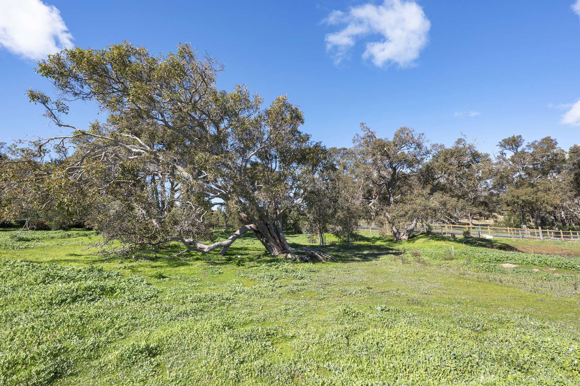 175 Dryandra Avenue, Yallingup For Sale by Farmbuy.com - image 14