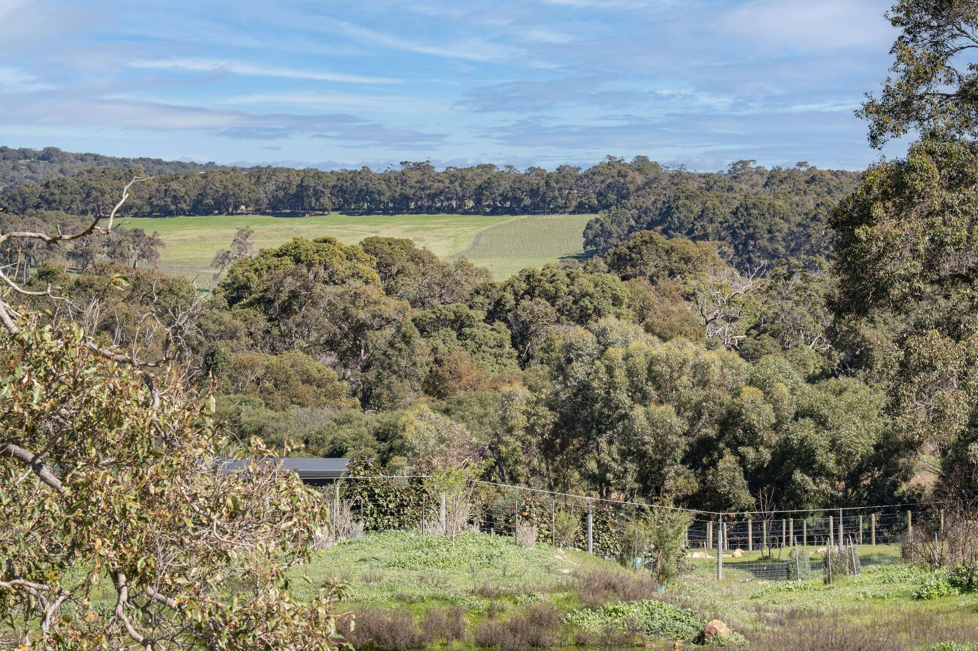 175 Dryandra Avenue, Yallingup For Sale by Farmbuy.com - image 13