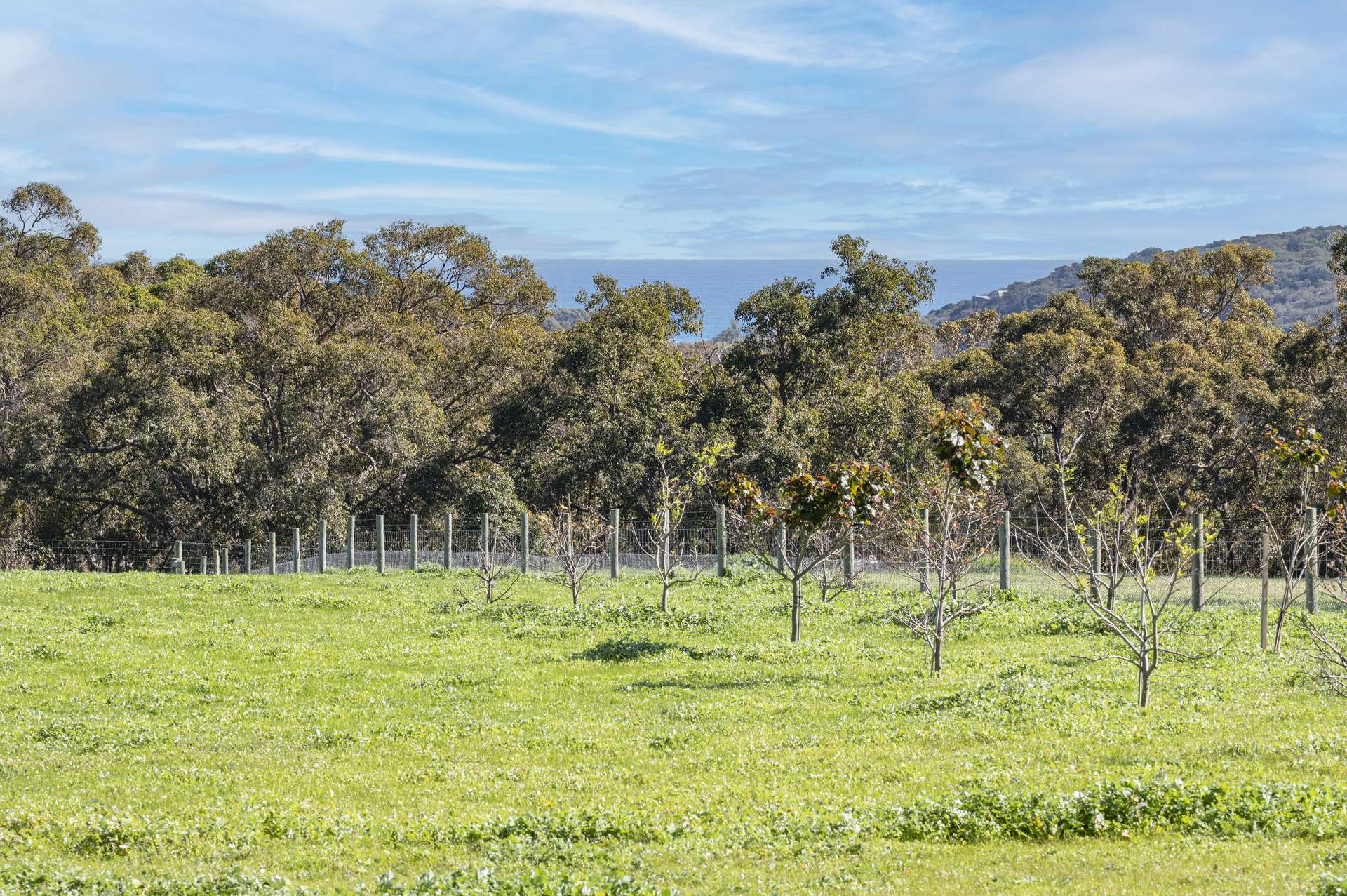 175 Dryandra Avenue, Yallingup For Sale by Farmbuy.com - image 2