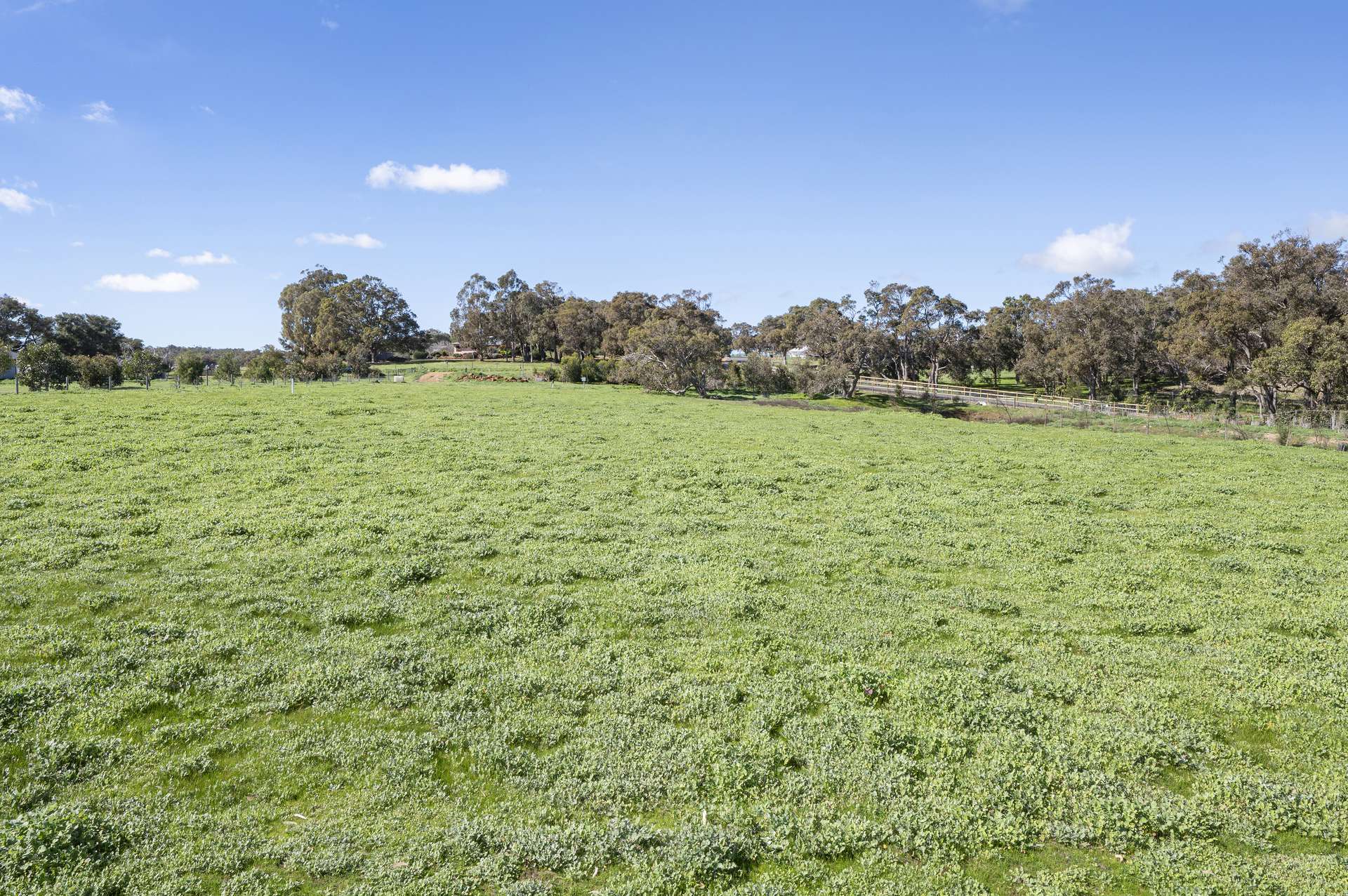 175 Dryandra Avenue, Yallingup For Sale by Farmbuy.com - image 16