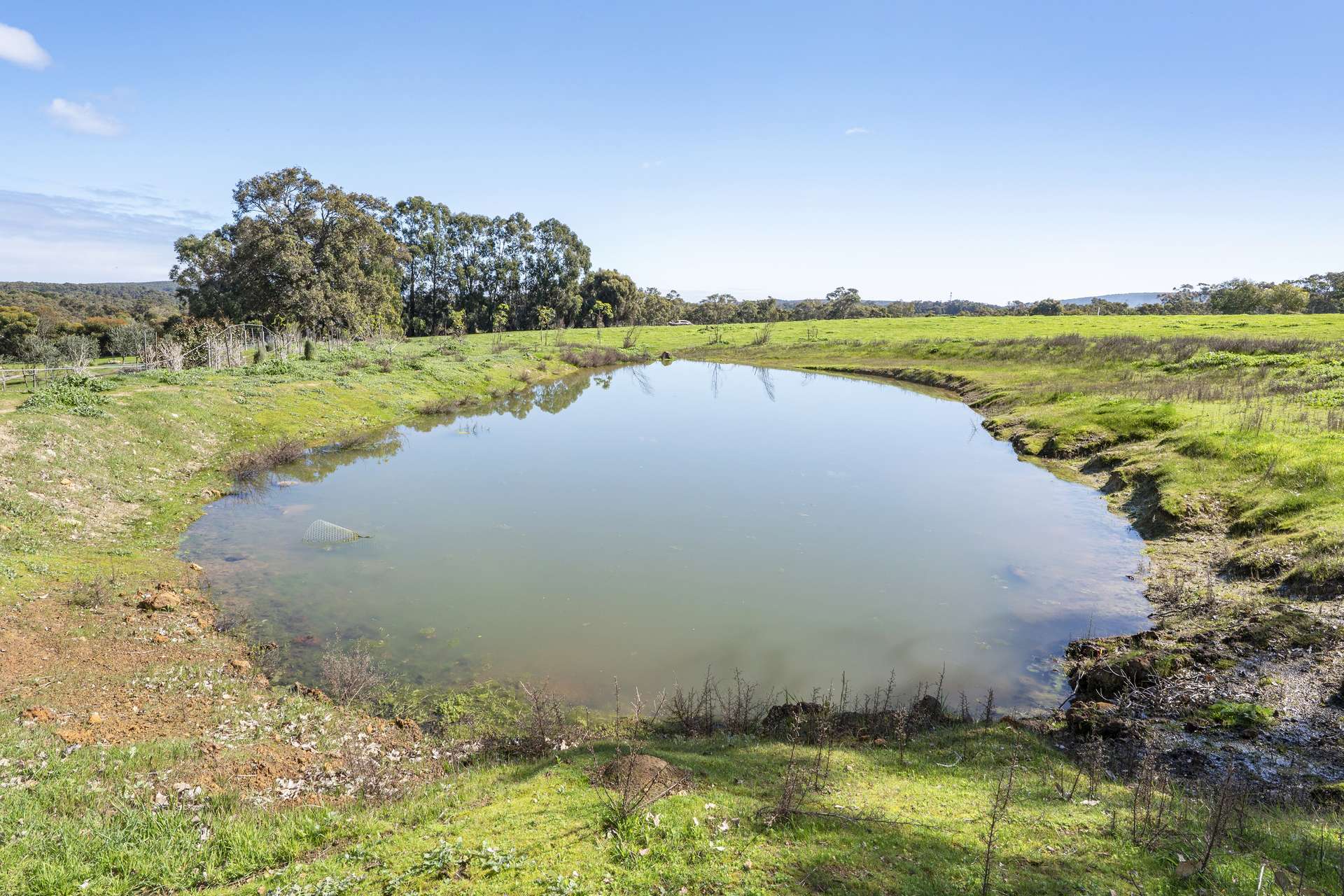 175 Dryandra Avenue, Yallingup For Sale by Farmbuy.com - image 18