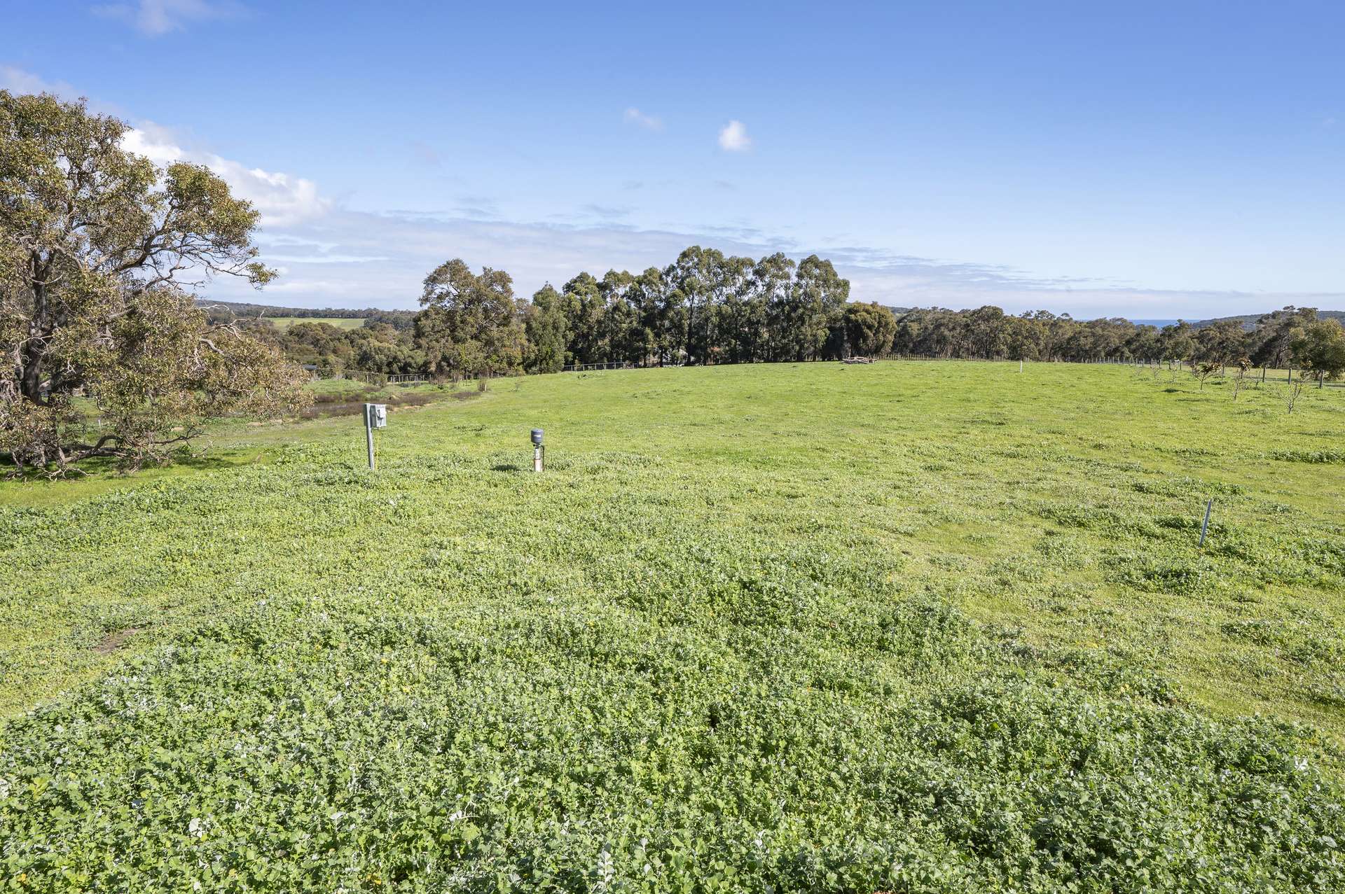 175 Dryandra Avenue, Yallingup For Sale by Farmbuy.com - image 15