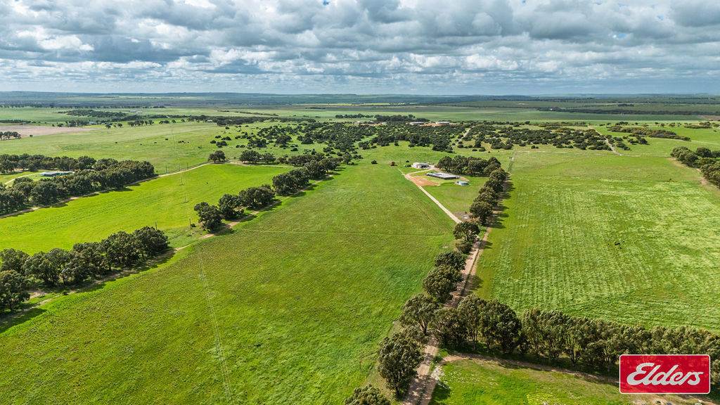 62 Wimpole Road, Bonniefield For Sale by Farmbuy.com - image 34