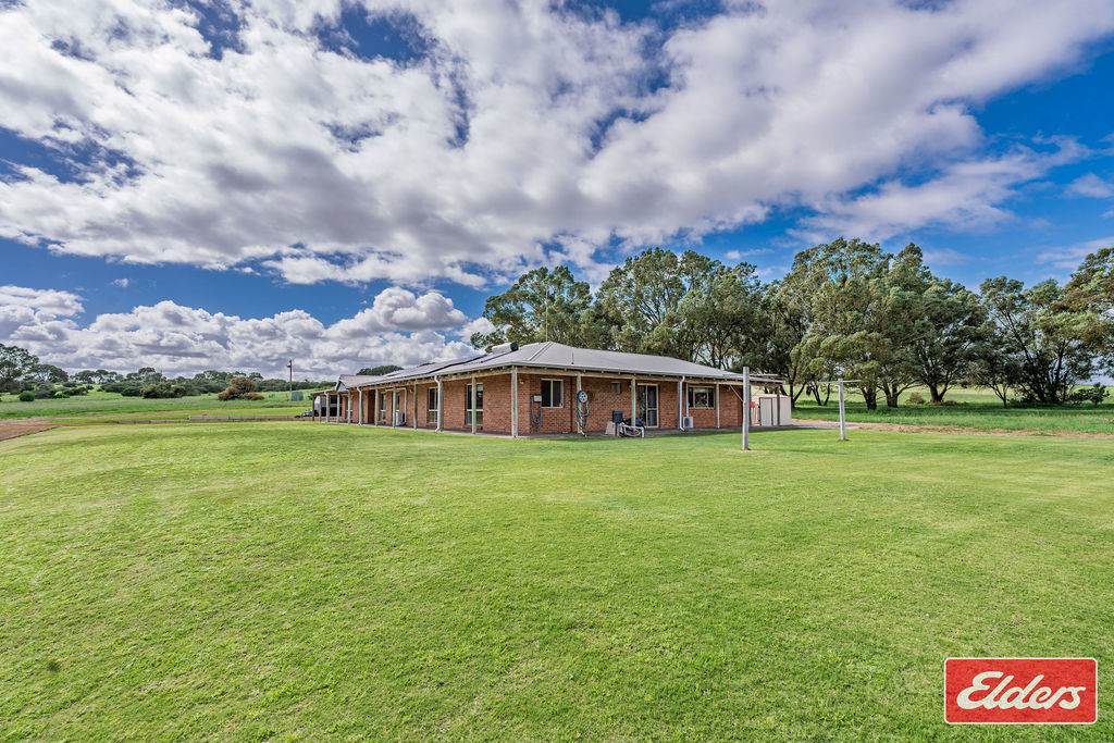 62 Wimpole Road, Bonniefield For Sale by Farmbuy.com - image 3