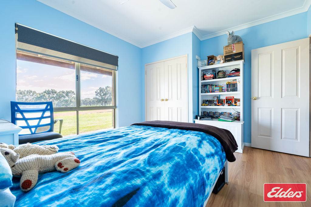 62 Wimpole Road, Bonniefield For Sale by Farmbuy.com - image 19