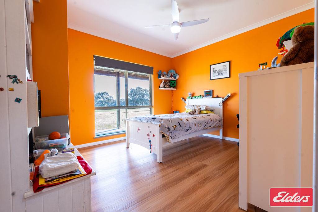 62 Wimpole Road, Bonniefield For Sale by Farmbuy.com - image 16