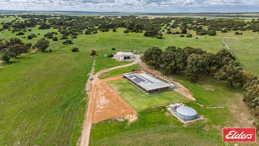 62 Wimpole Road, Bonniefield WA 6525