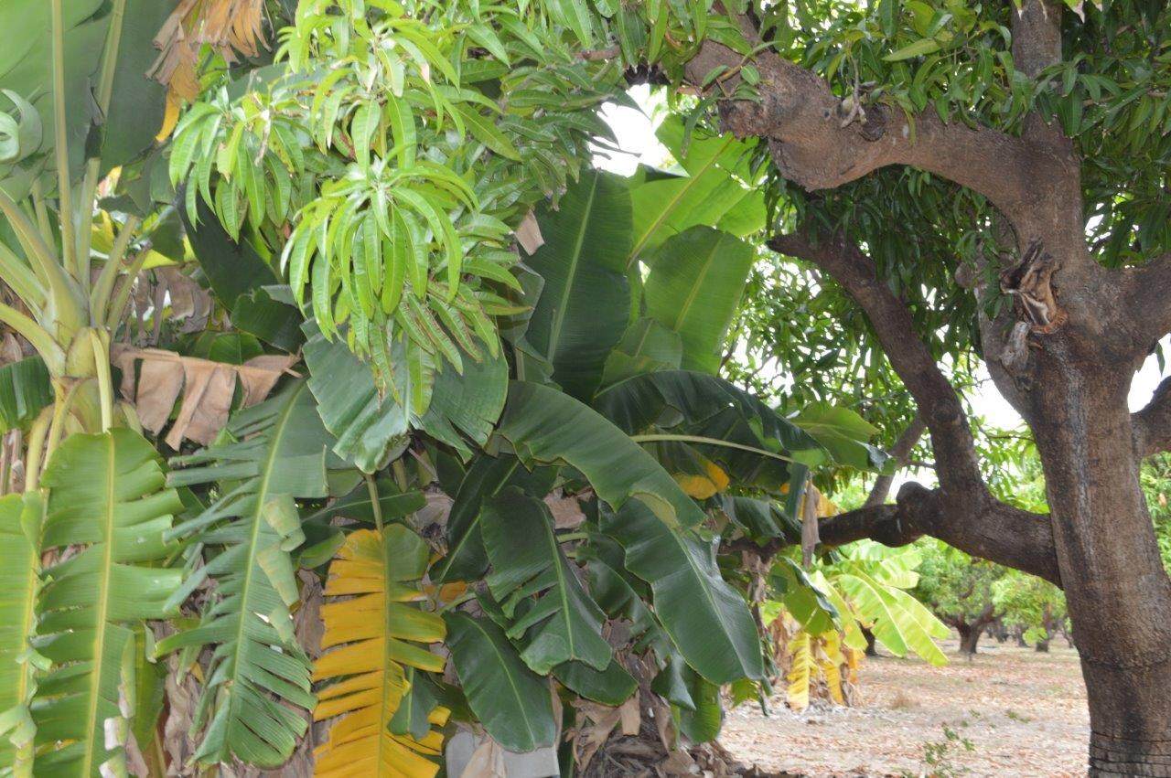 135 Trenow Road, Darwin River For Sale by Farmbuy.com - image 16