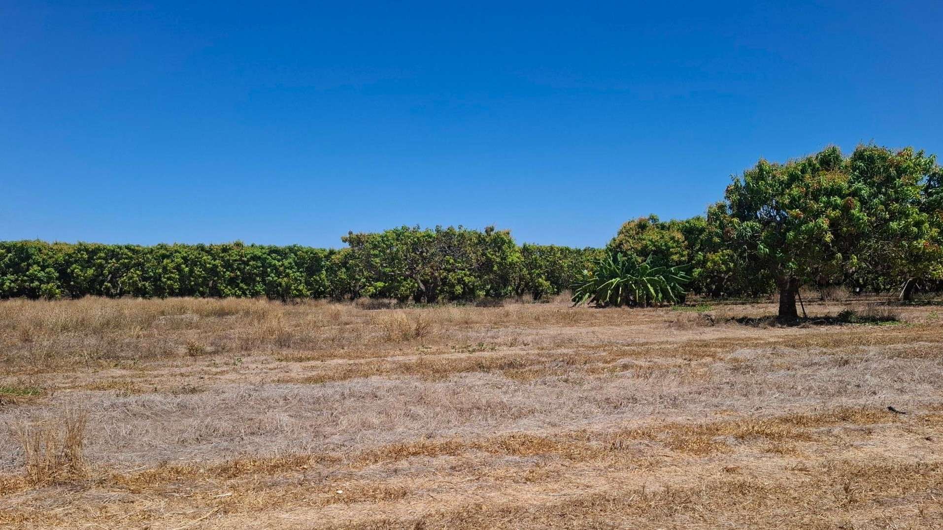 135 Trenow Road, Darwin River For Sale by Farmbuy.com - image 10