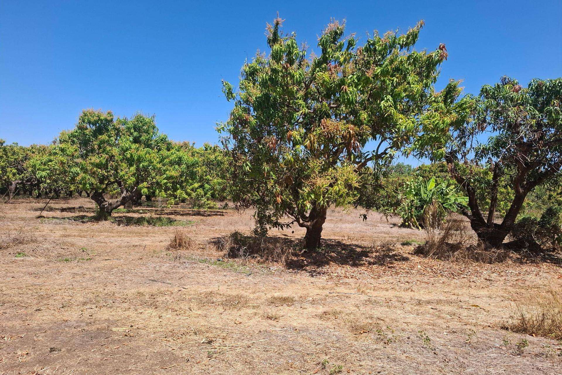 135 Trenow Road, Darwin River For Sale by Farmbuy.com - image 11