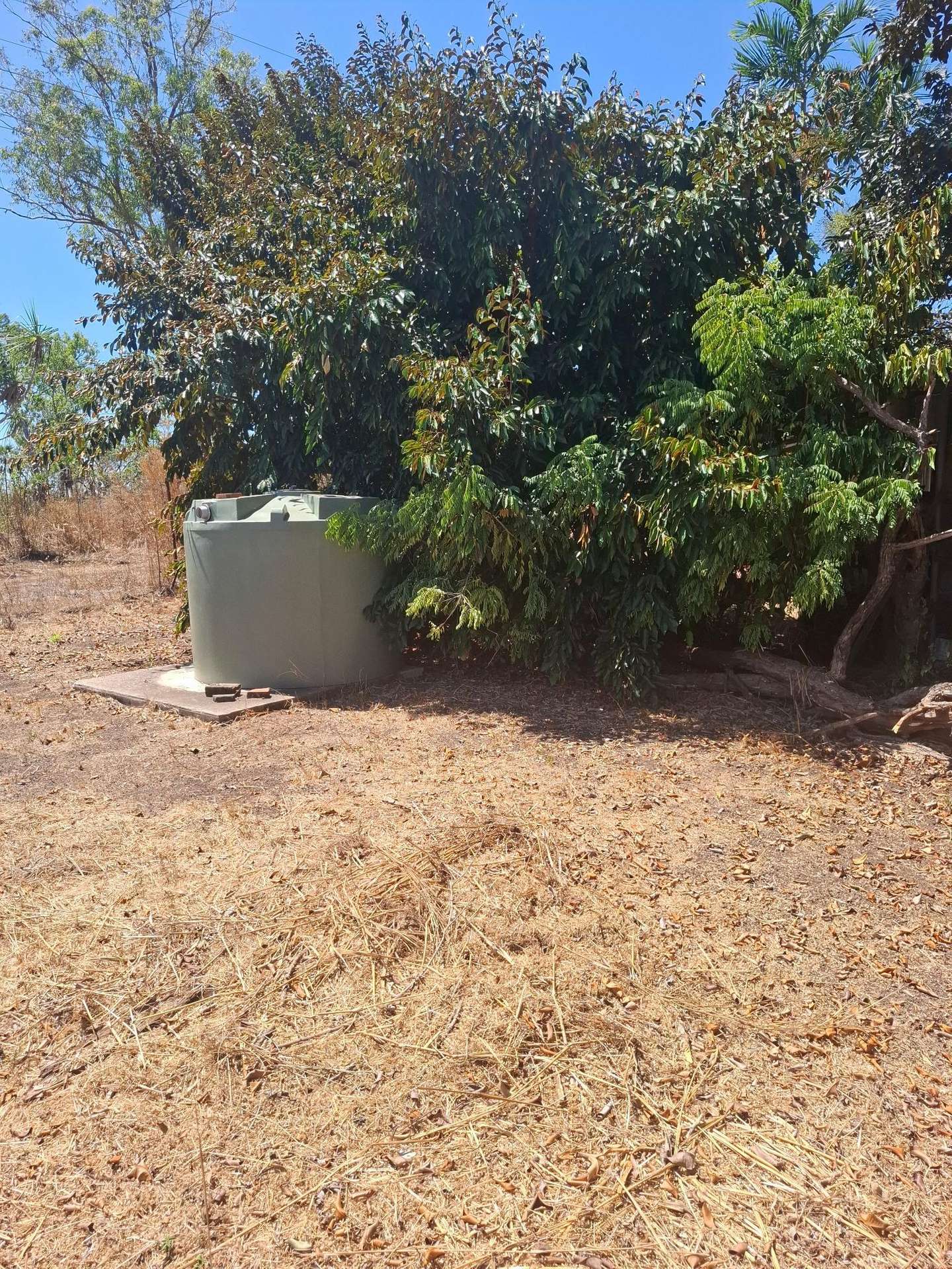 135 Trenow Road, Darwin River For Sale by Farmbuy.com - image 13