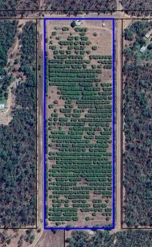 135 Trenow Road, Darwin River For Sale by Farmbuy.com - floorplan 2