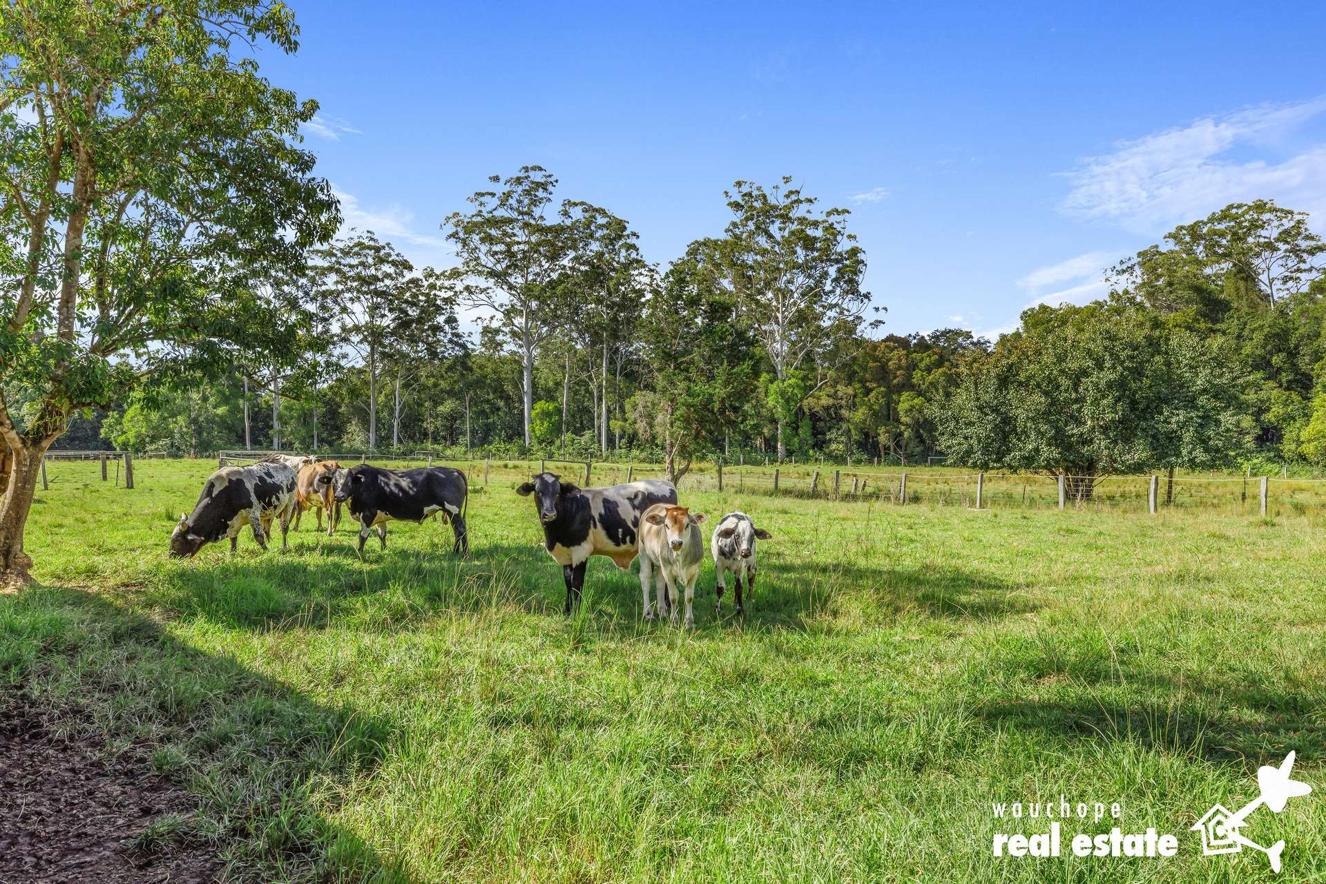 1 Morilla Place, Beechwood For Sale by Farmbuy.com - image 23