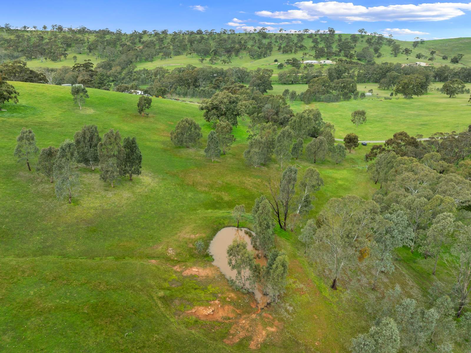 217 Skillogalee Creek Road, Watervale For Sale by Farmbuy.com - image 29