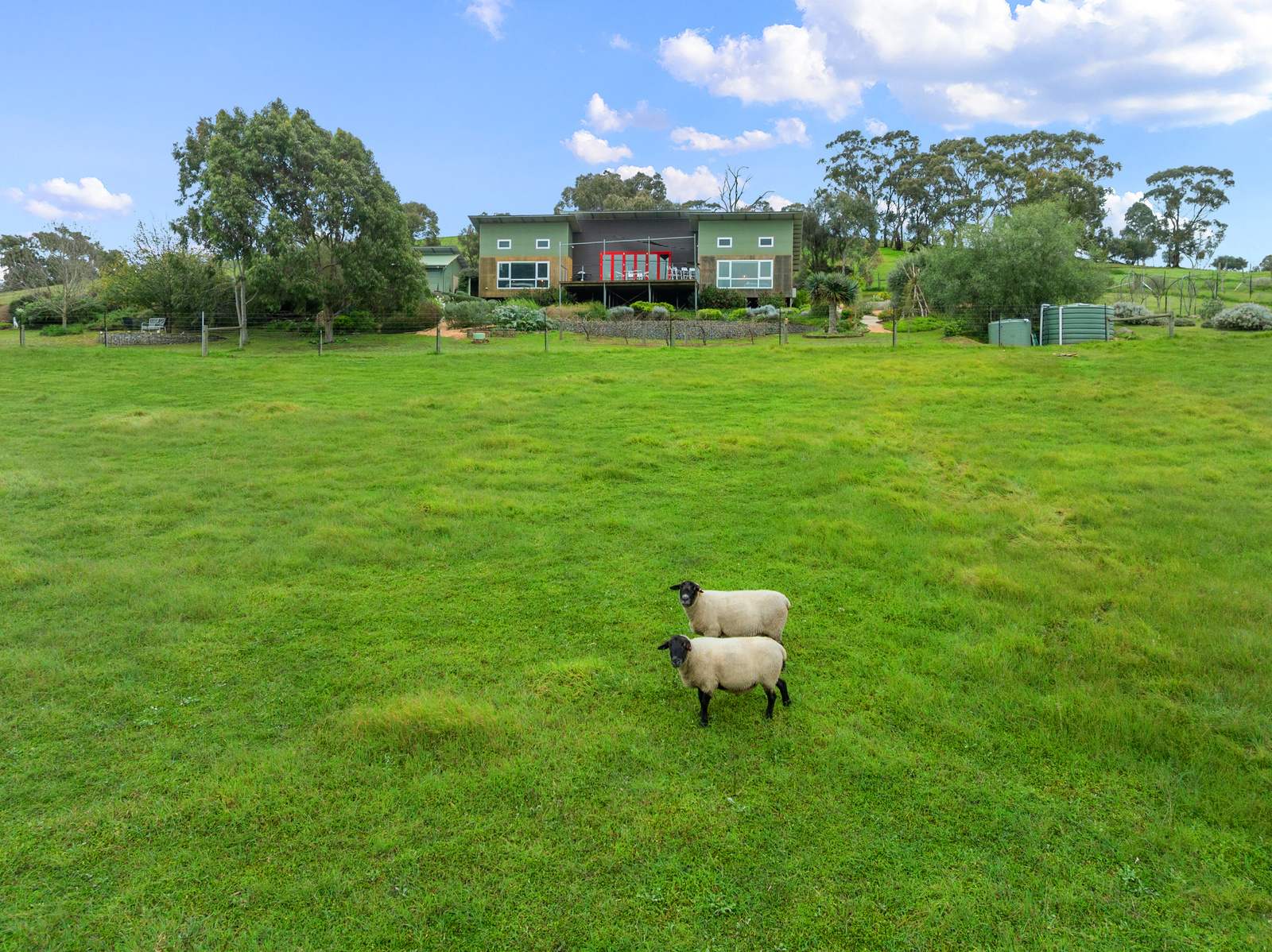 217 Skillogalee Creek Road, Watervale For Sale by Farmbuy.com - image 28