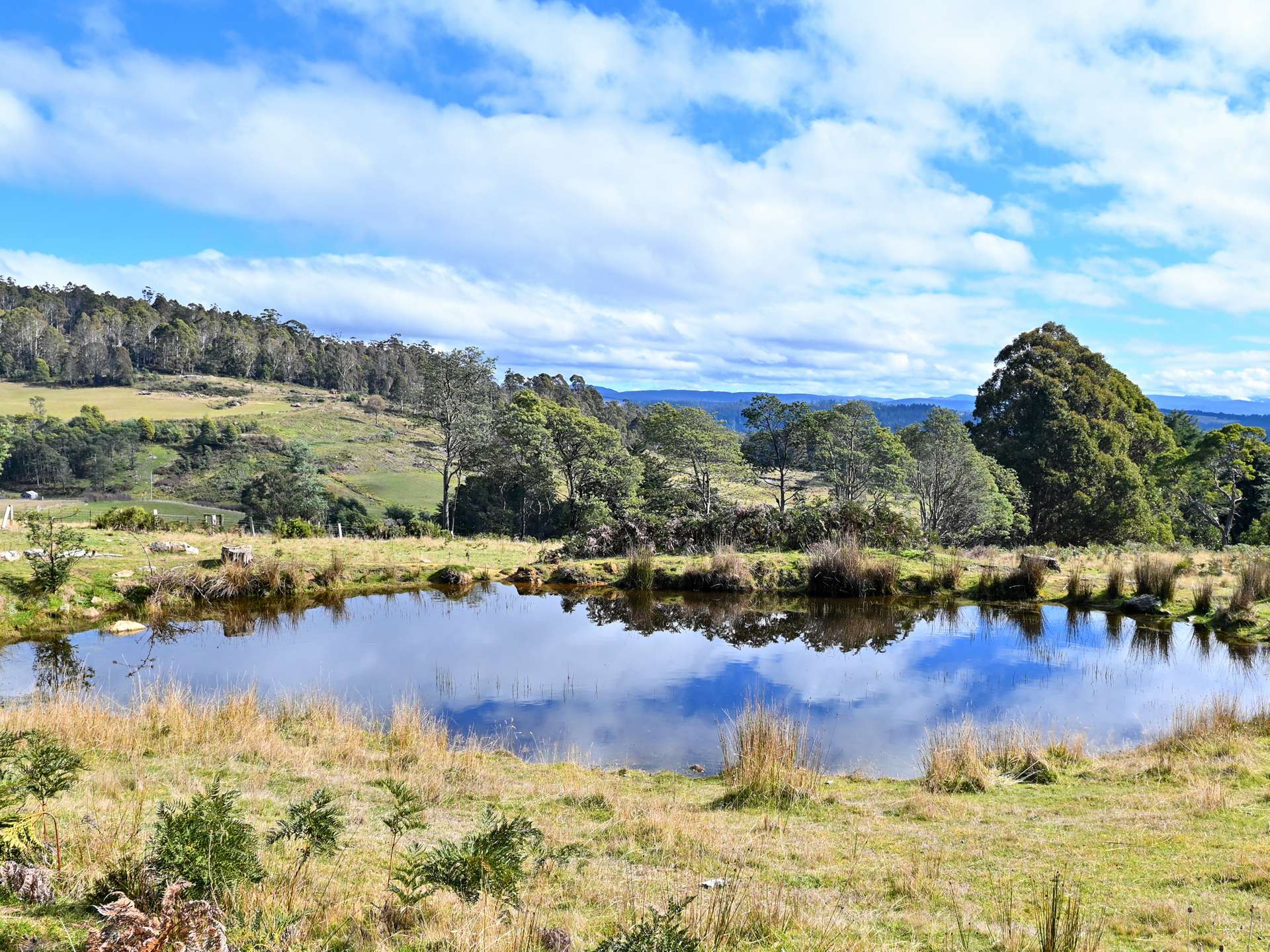 Lot 2,  Crosswells Road, Mount Lloyd For Sale by Farmbuy.com - image 8