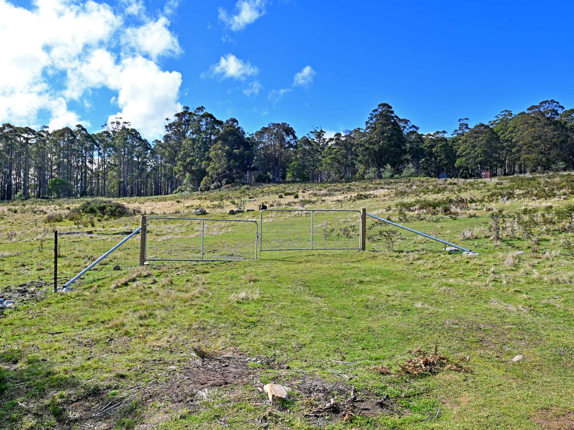 Lot 2,  Crosswells Road, Mount Lloyd For Sale by Farmbuy.com - image 21