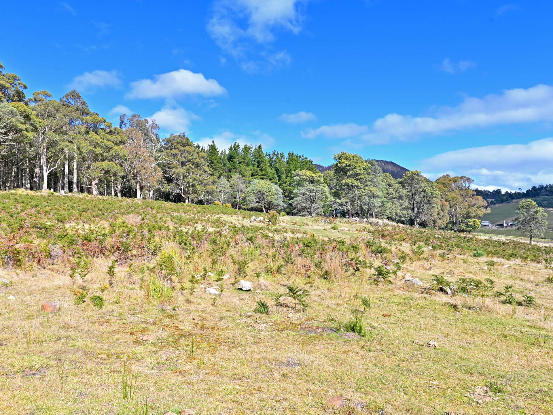 Lot 2,  Crosswells Road, Mount Lloyd For Sale by Farmbuy.com - image 18