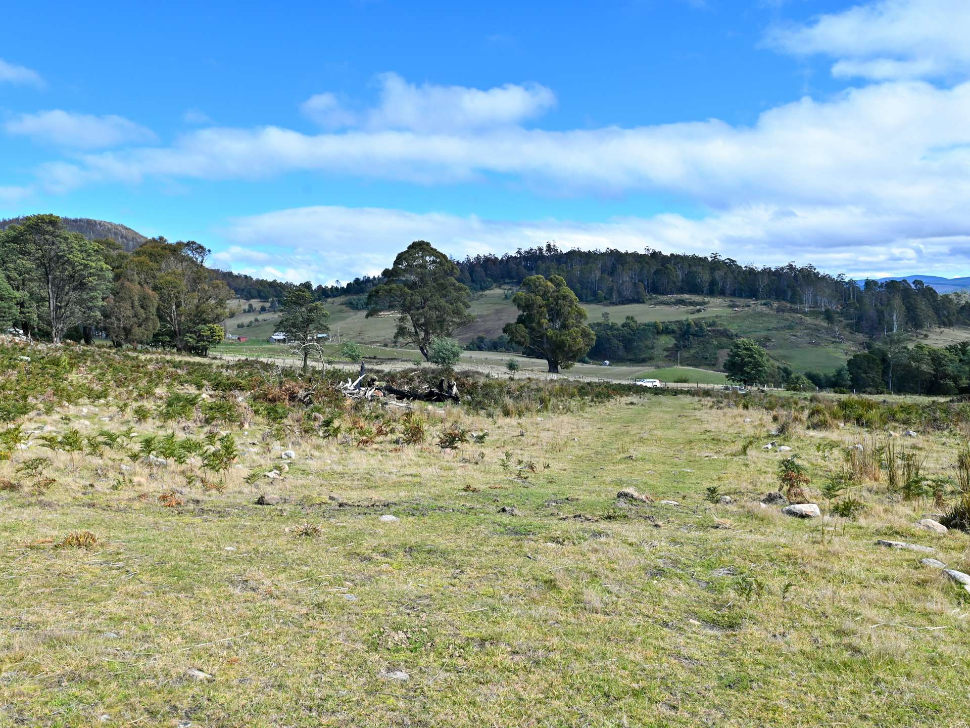 Lot 2,  Crosswells Road, Mount Lloyd For Sale by Farmbuy.com - image 14
