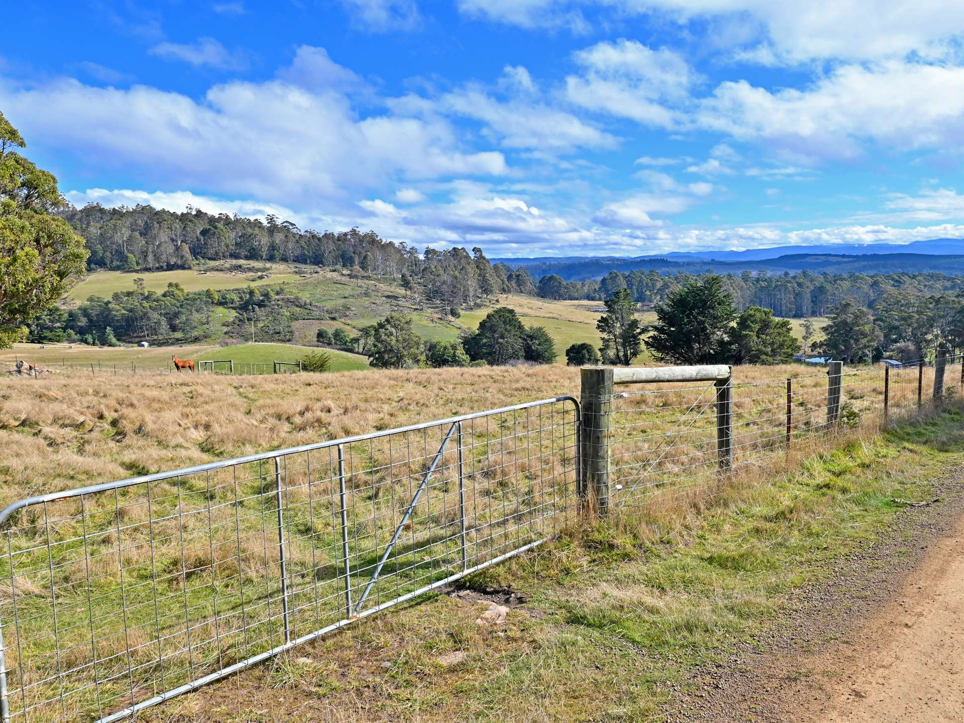 Lot 2,  Crosswells Road, Mount Lloyd For Sale by Farmbuy.com - image 20